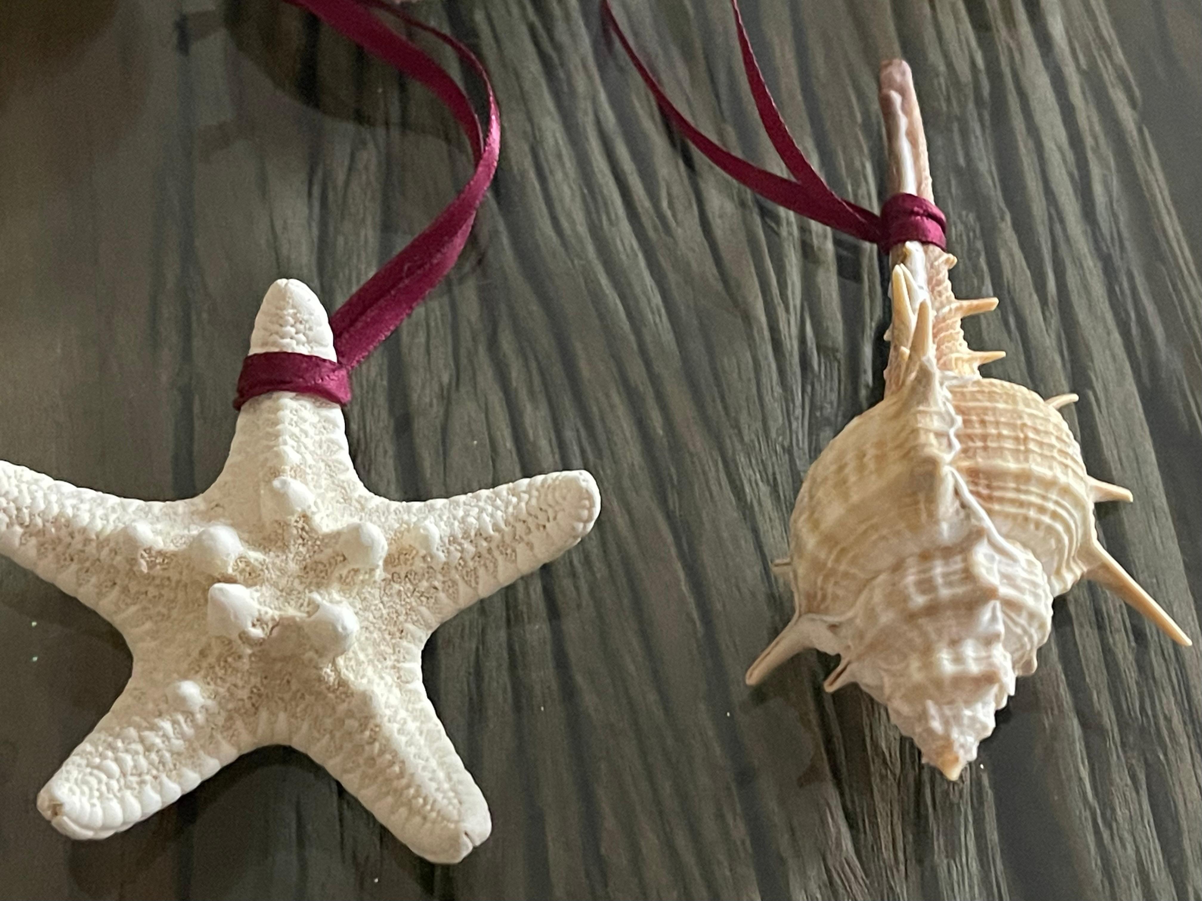 Carved Sea Shell Sea Shells Coastal Ornaments Set For Sale