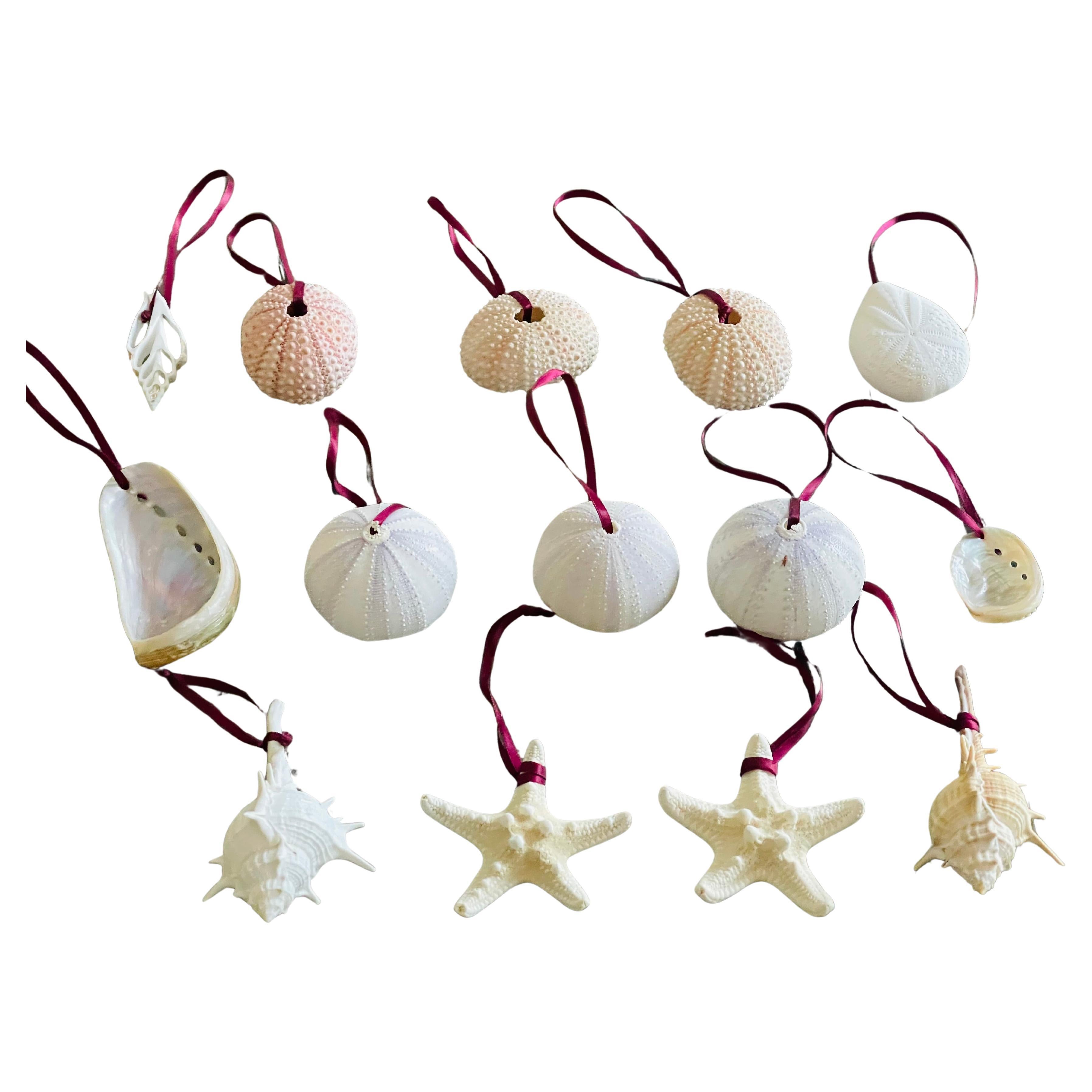 Set de Adornos Costeros de Conchas Marinas