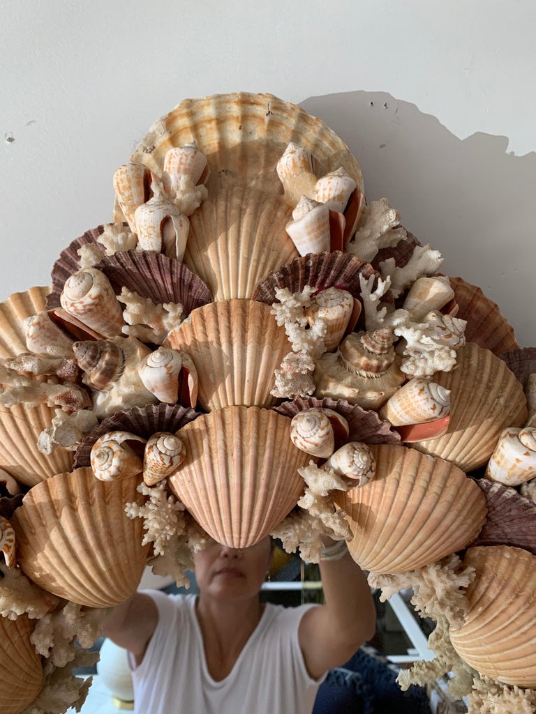 Download Sea Shell Seashell and Coral Sculpture Wall Mirror For ...
