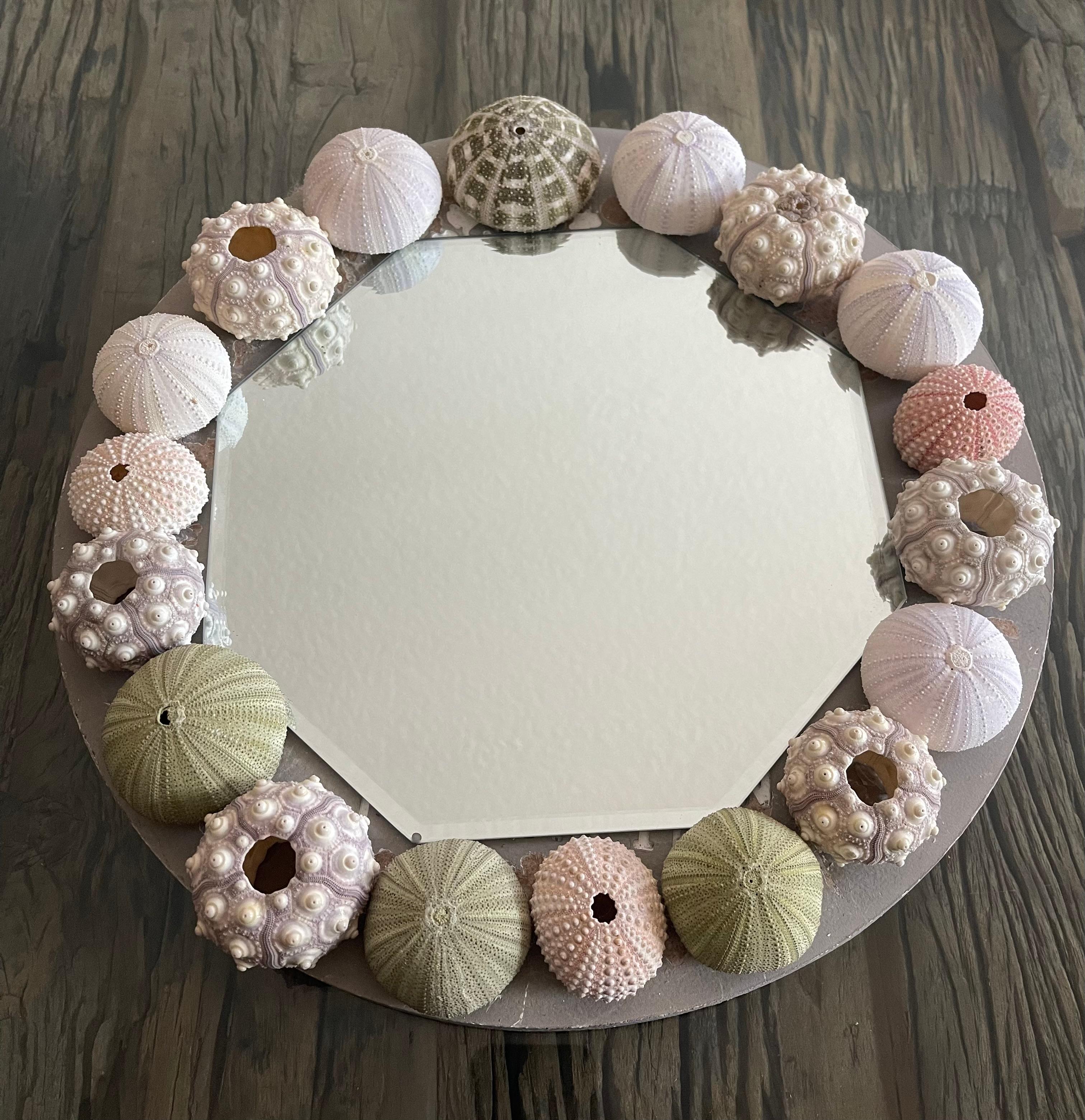 Vintage sea shell urchins round mirror. 4 different natural organic type of urchins in natural colors. Marine specimens. Great for coastal decor.
