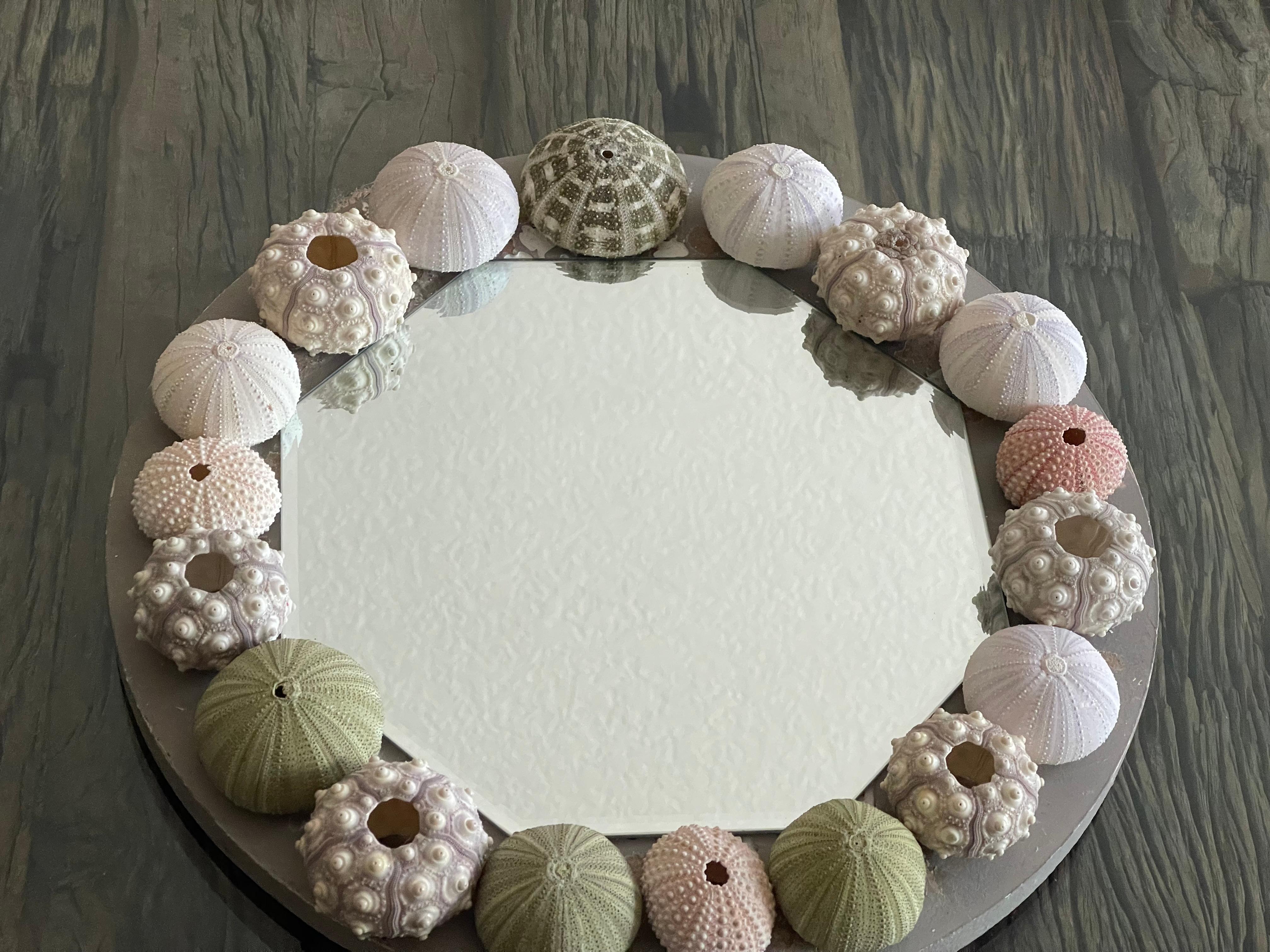 American Organic Modern Sea Shell Urchins Vintage Round Mirror For Sale