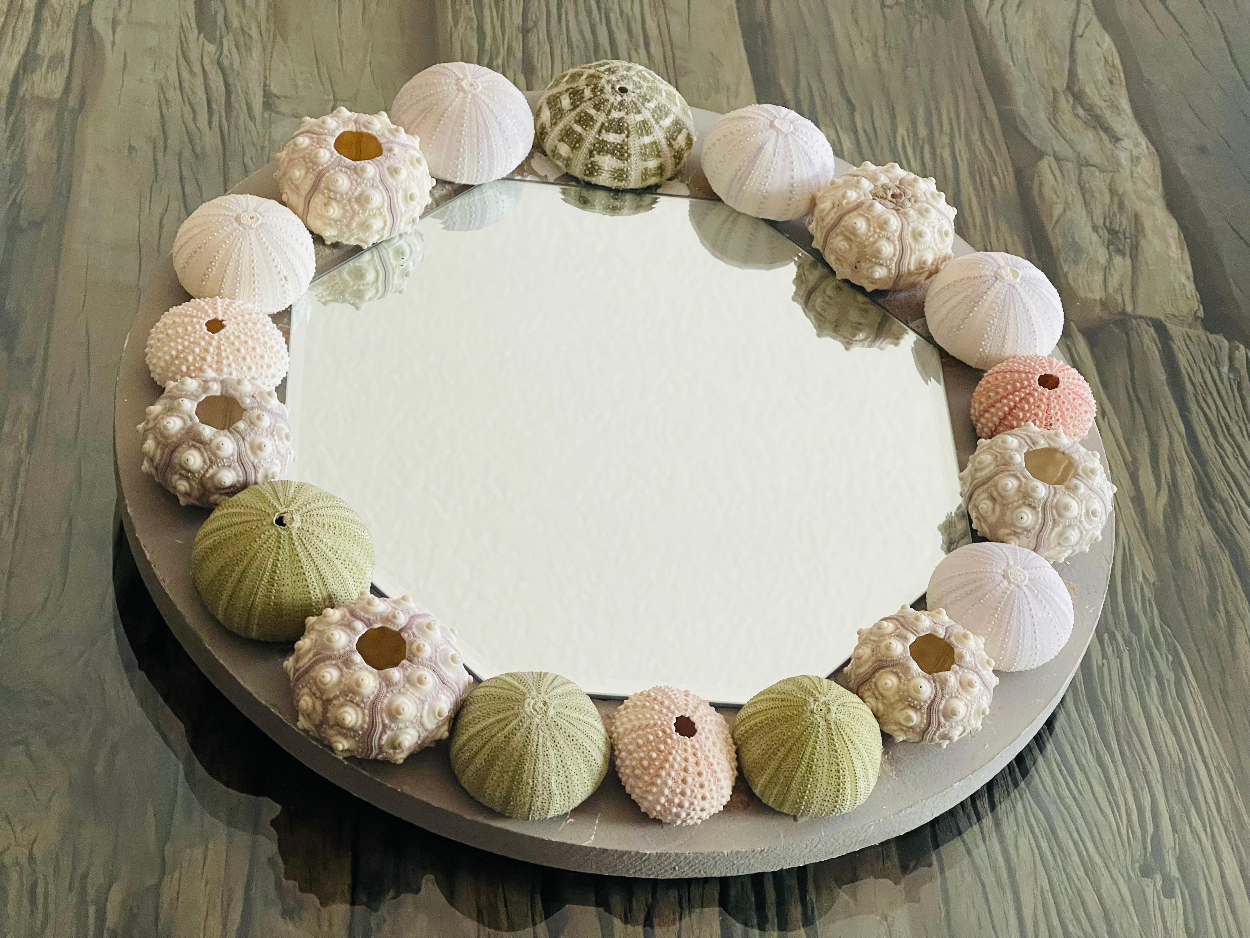Embossed Organic Modern Sea Shell Urchins Vintage Round Mirror For Sale
