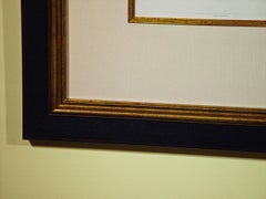 Sea Shells Large Engraving George Perry from the Natural History of Shells