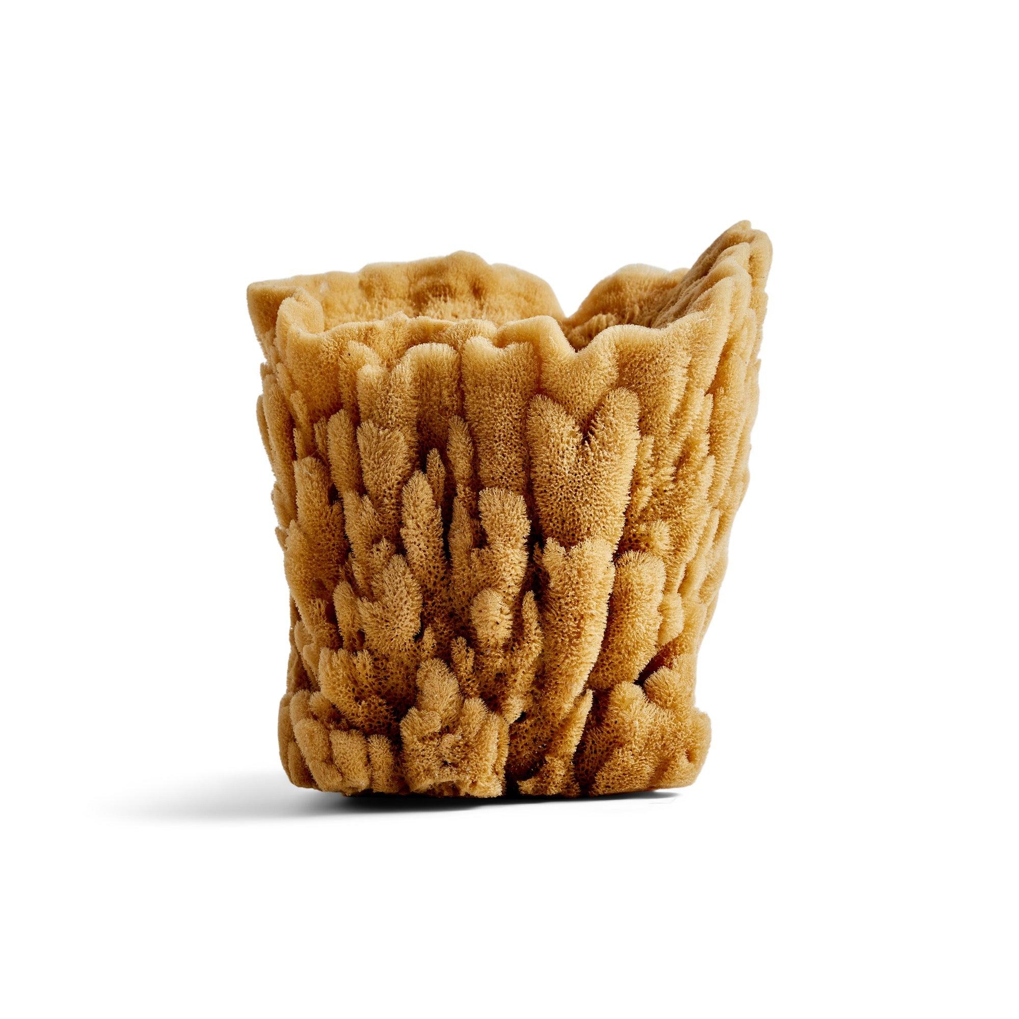 Vintage natural sea sponge vase.