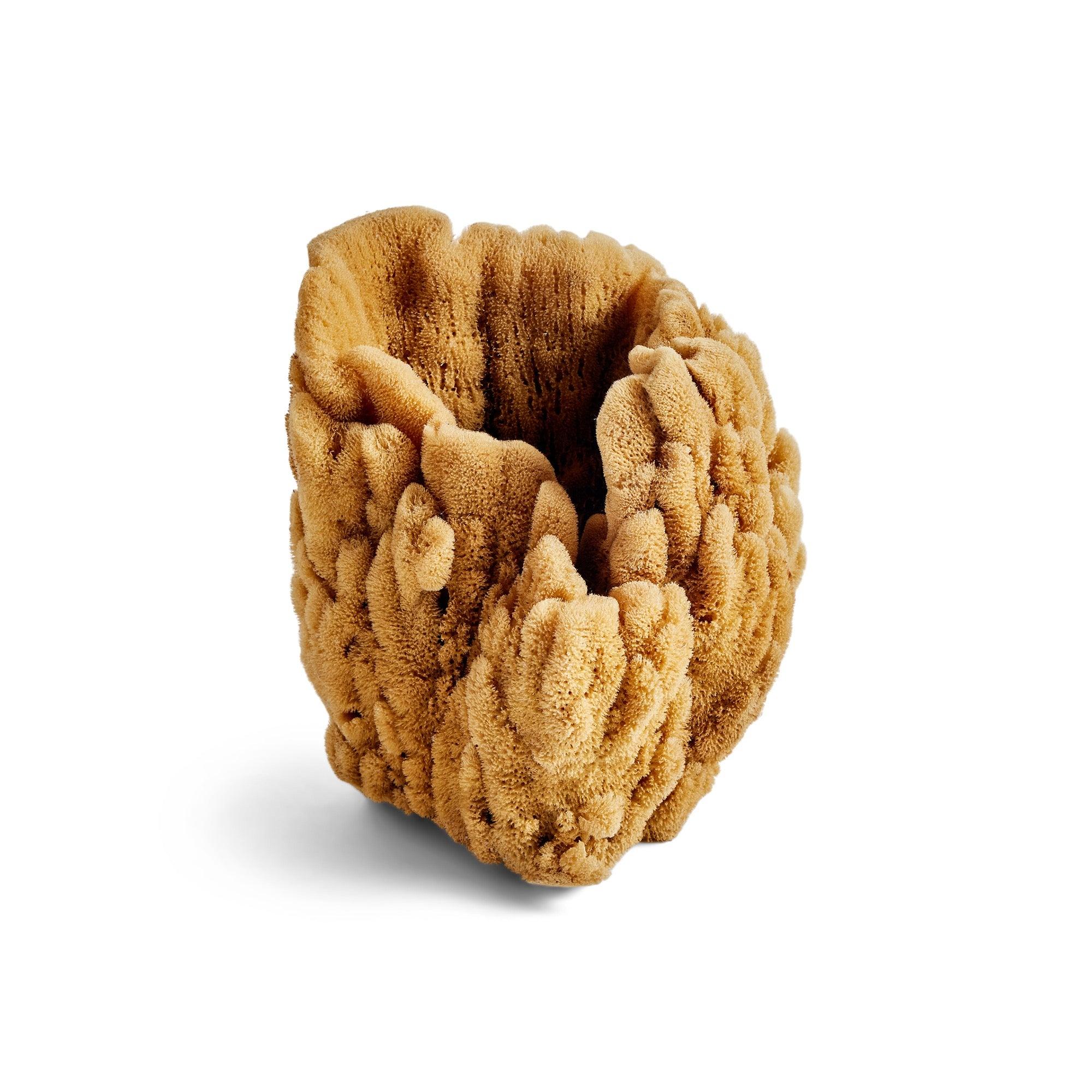 Vintage matural sea sponge vase