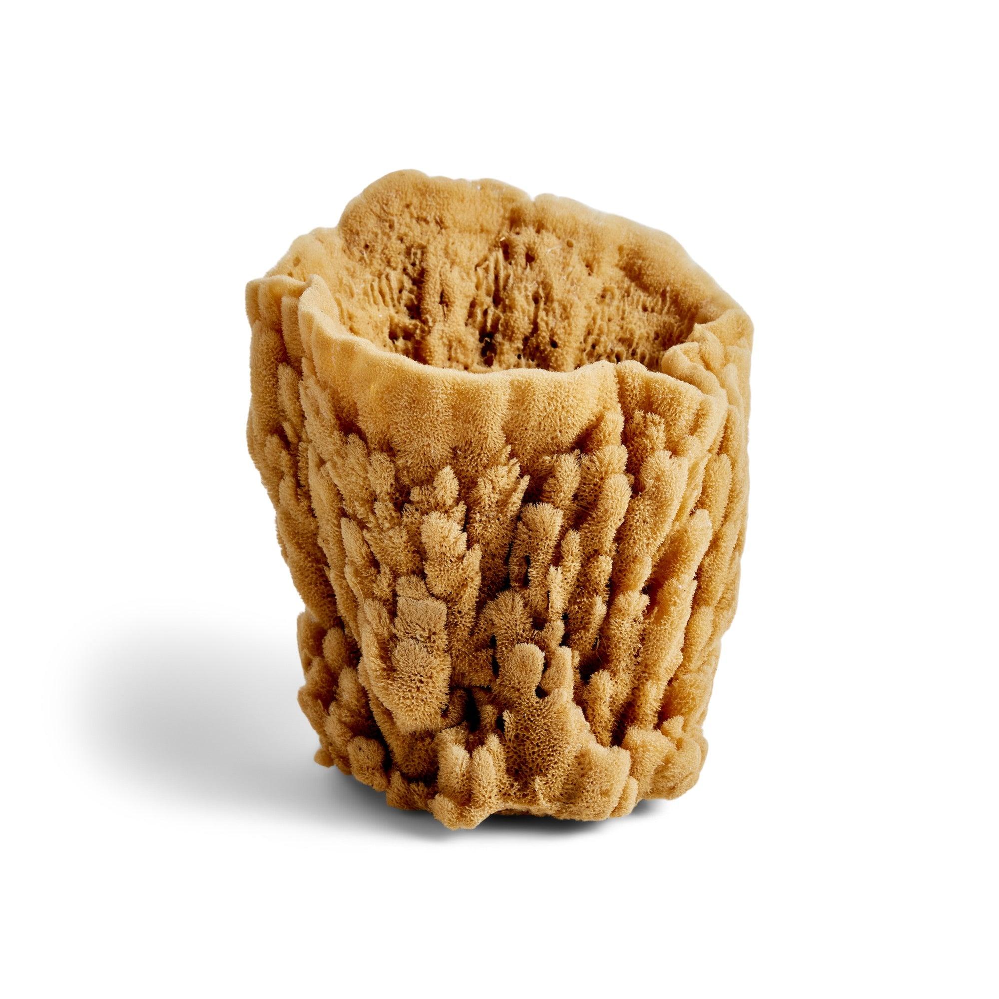 Sea Sponge In Excellent Condition For Sale In Sagaponack, NY