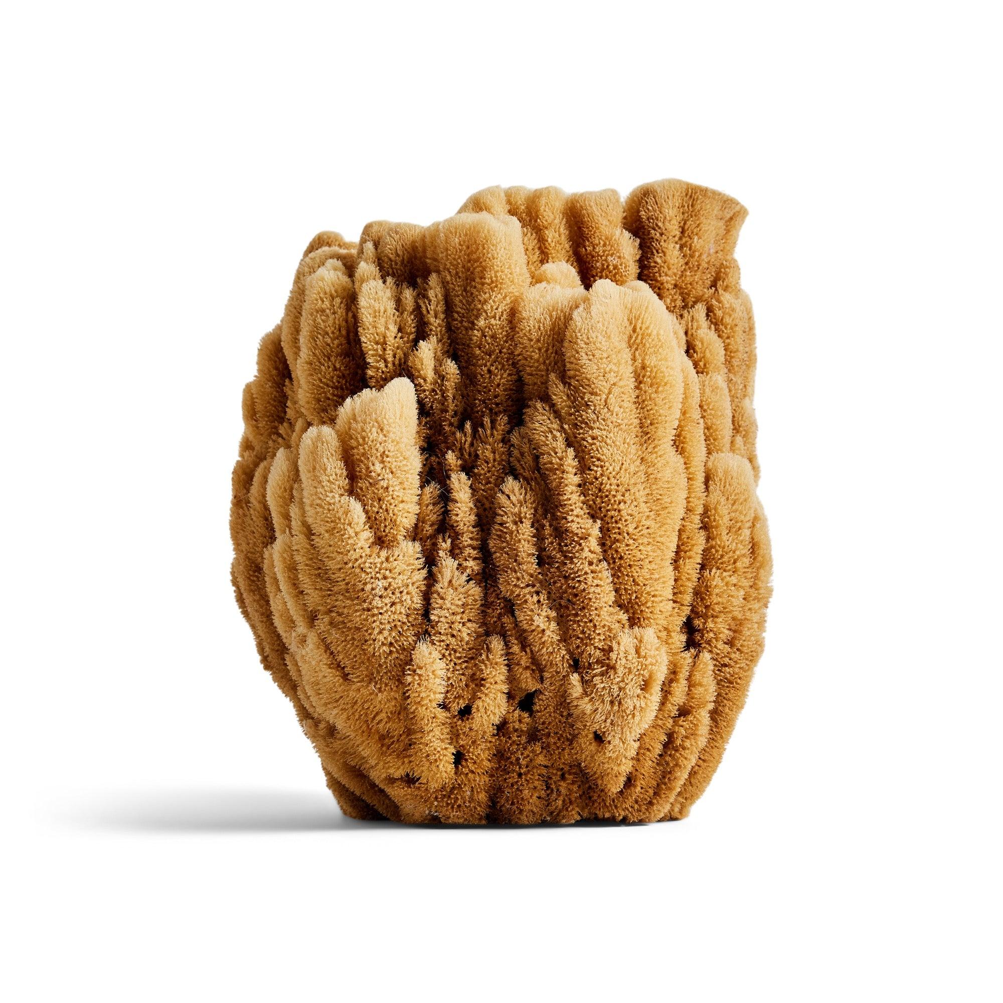 Contemporary Sea Sponge For Sale