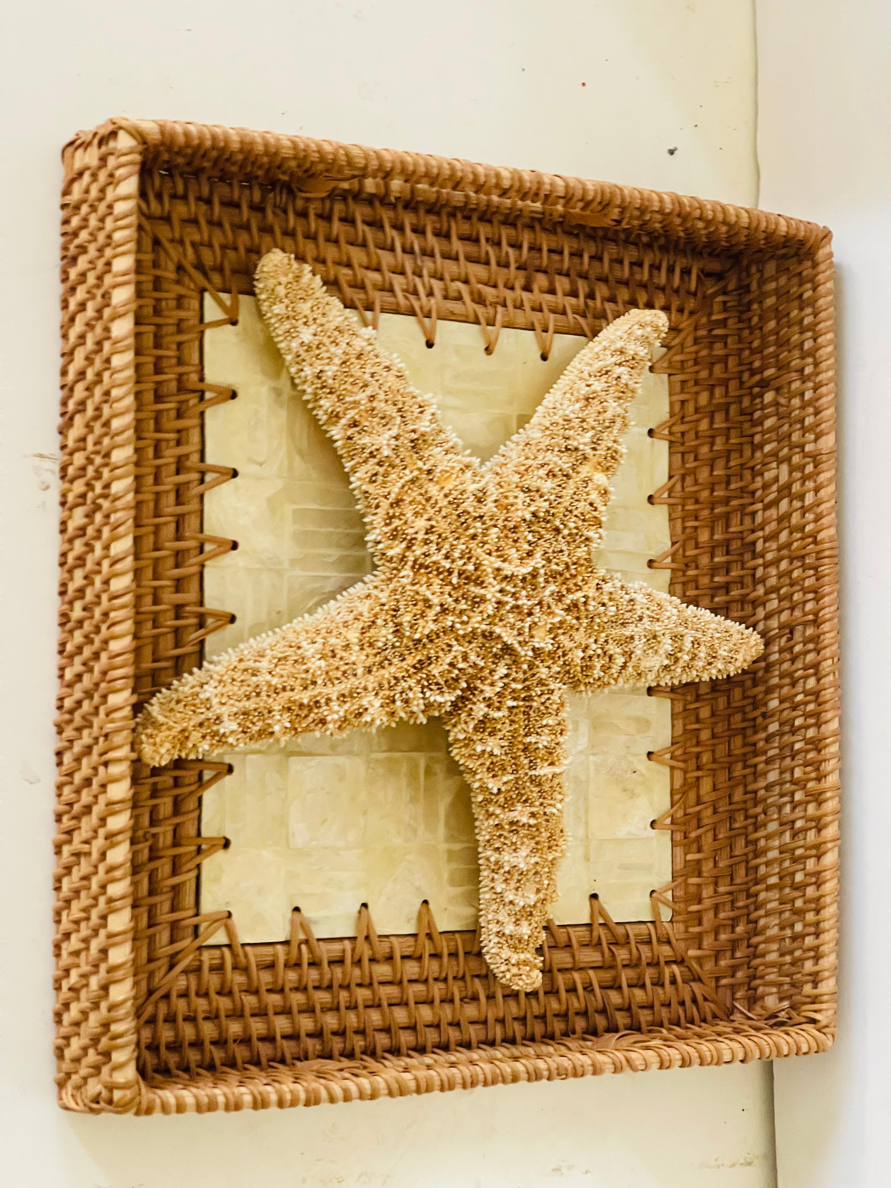 Natural history organic modern specimen sea shell star on a handmade wicker tray with Capiz shells.