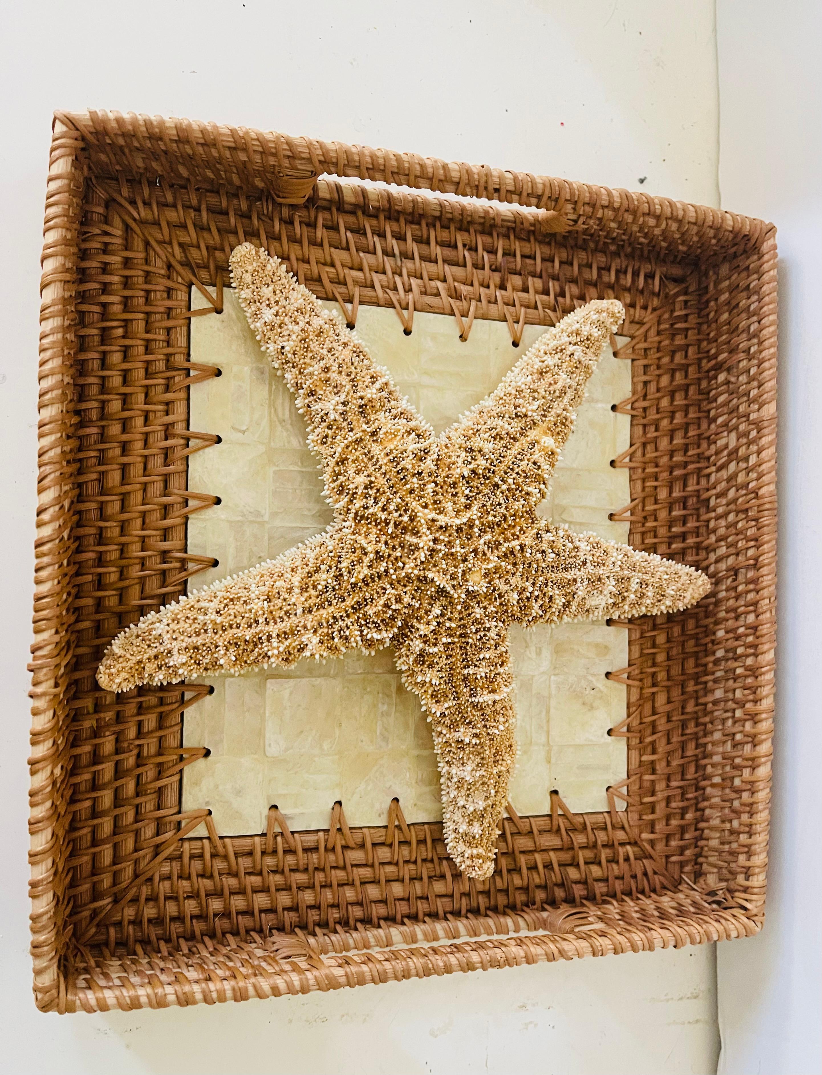 Organic Modern Sea Star Natural Specimen with Wicker Capiz Tray For Sale