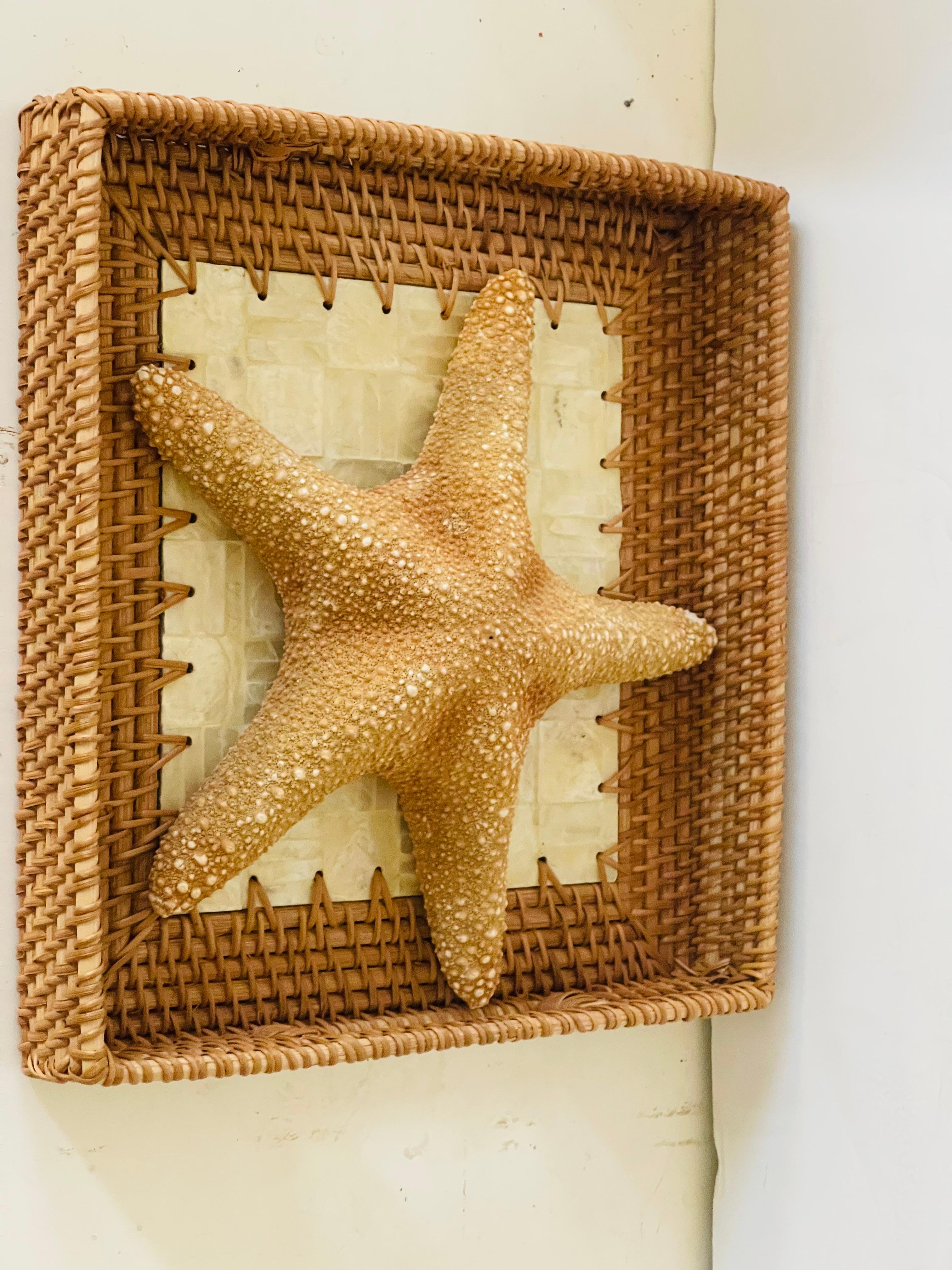 Sea Star Natural Specimen with Wicker Capiz Tray In Good Condition For Sale In Boca Raton, FL
