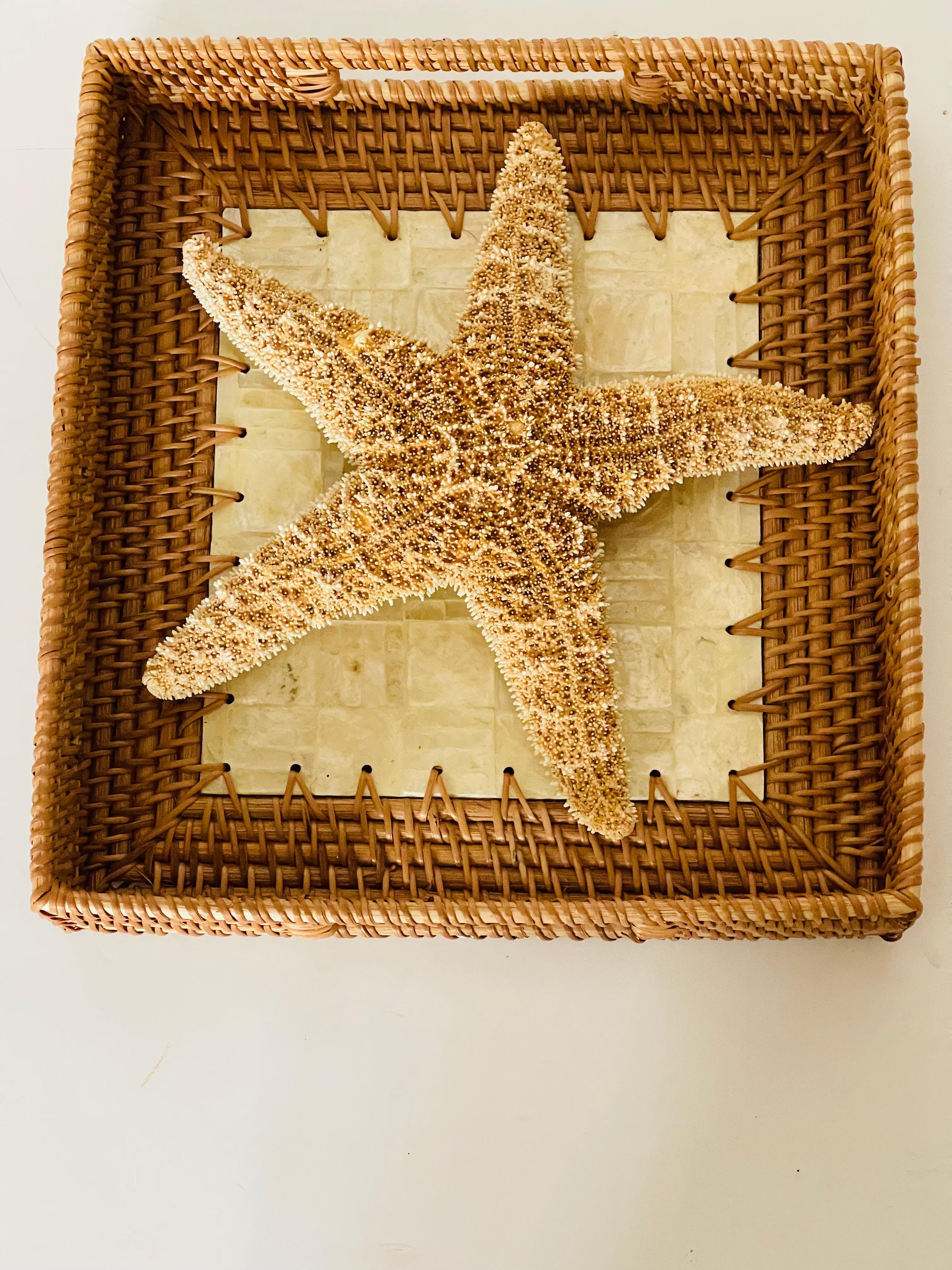 Estrella de Mar Espécimen Natural con Bandeja de Mimbre Capiz en Bueno estado para la venta en Boca Raton, FL