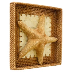 Estrella de Mar Espécimen Natural con Bandeja de Mimbre Capiz