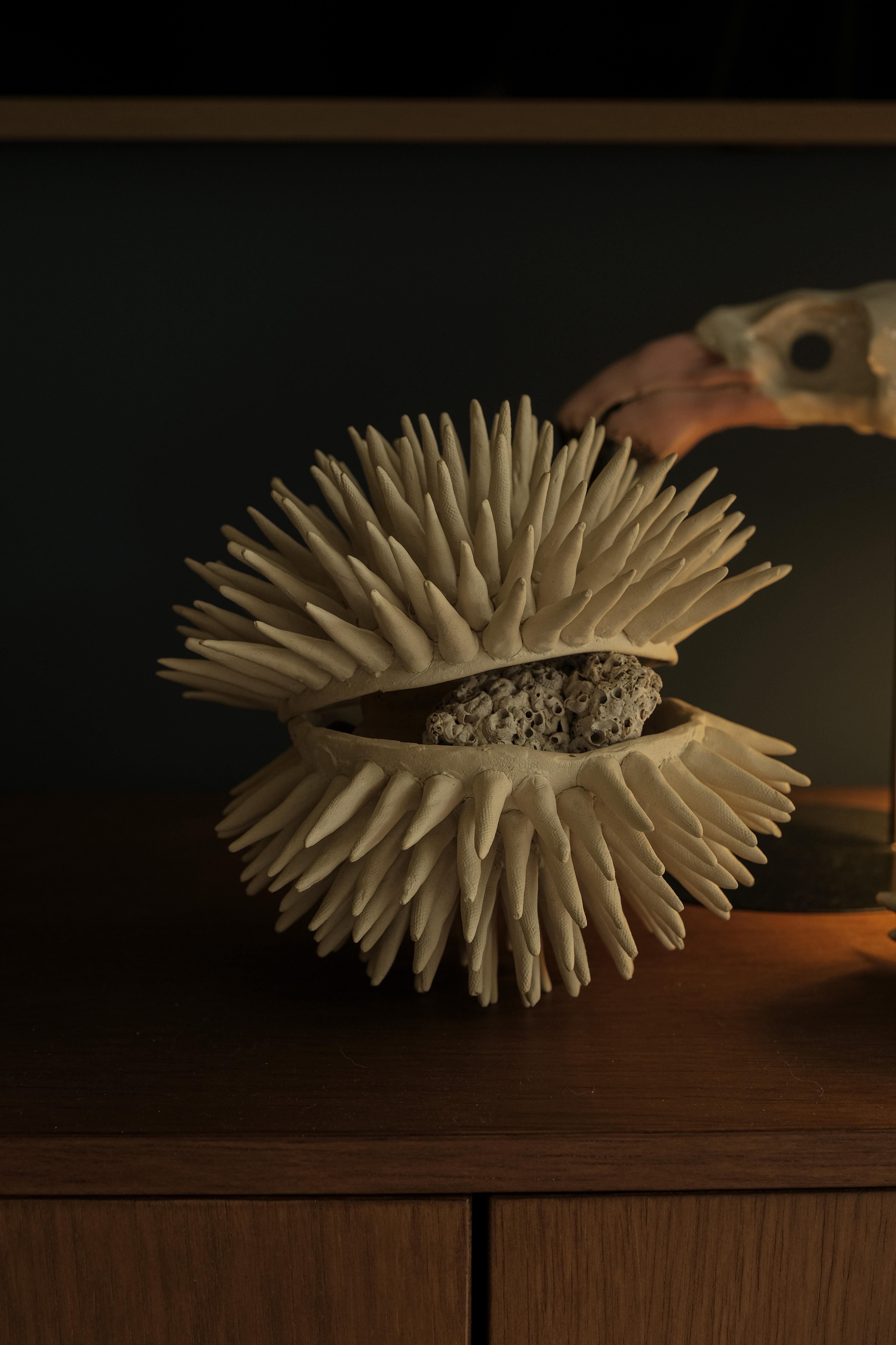 Ceramic ceramic sculpture sea urchin N.1 - Grimpa Partnership  For Sale
