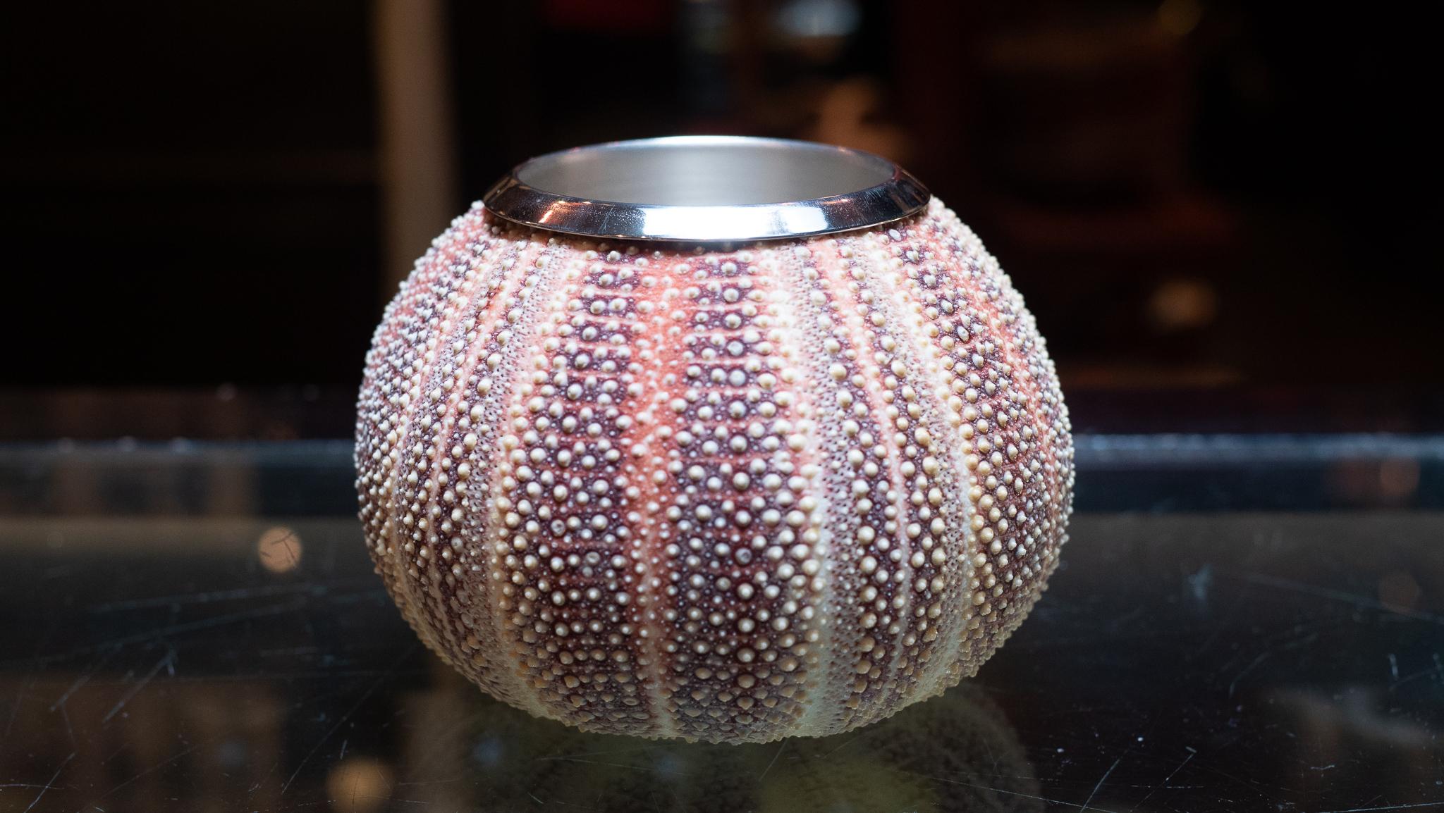 Urchin Matchstick  Pen Holder:

Created from natural sea urchin.

At Creel and Gow, we take great pride in our signature silvered shells, which have been a hallmark of our collection for over 20 years. To create these exquisite pieces, we have been