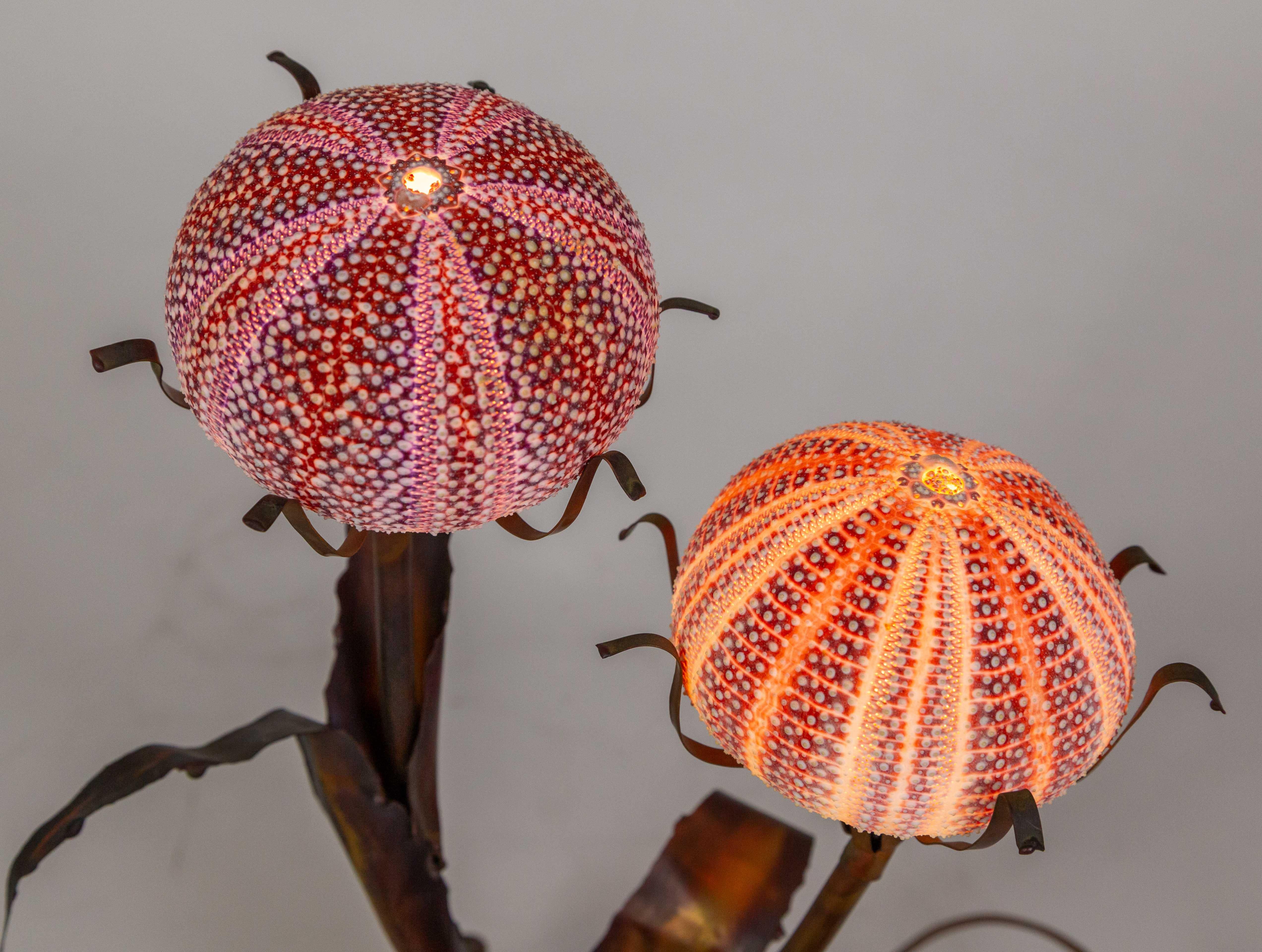 Sea Urchin Shell & Burl Lamp by Curtis Jere 5