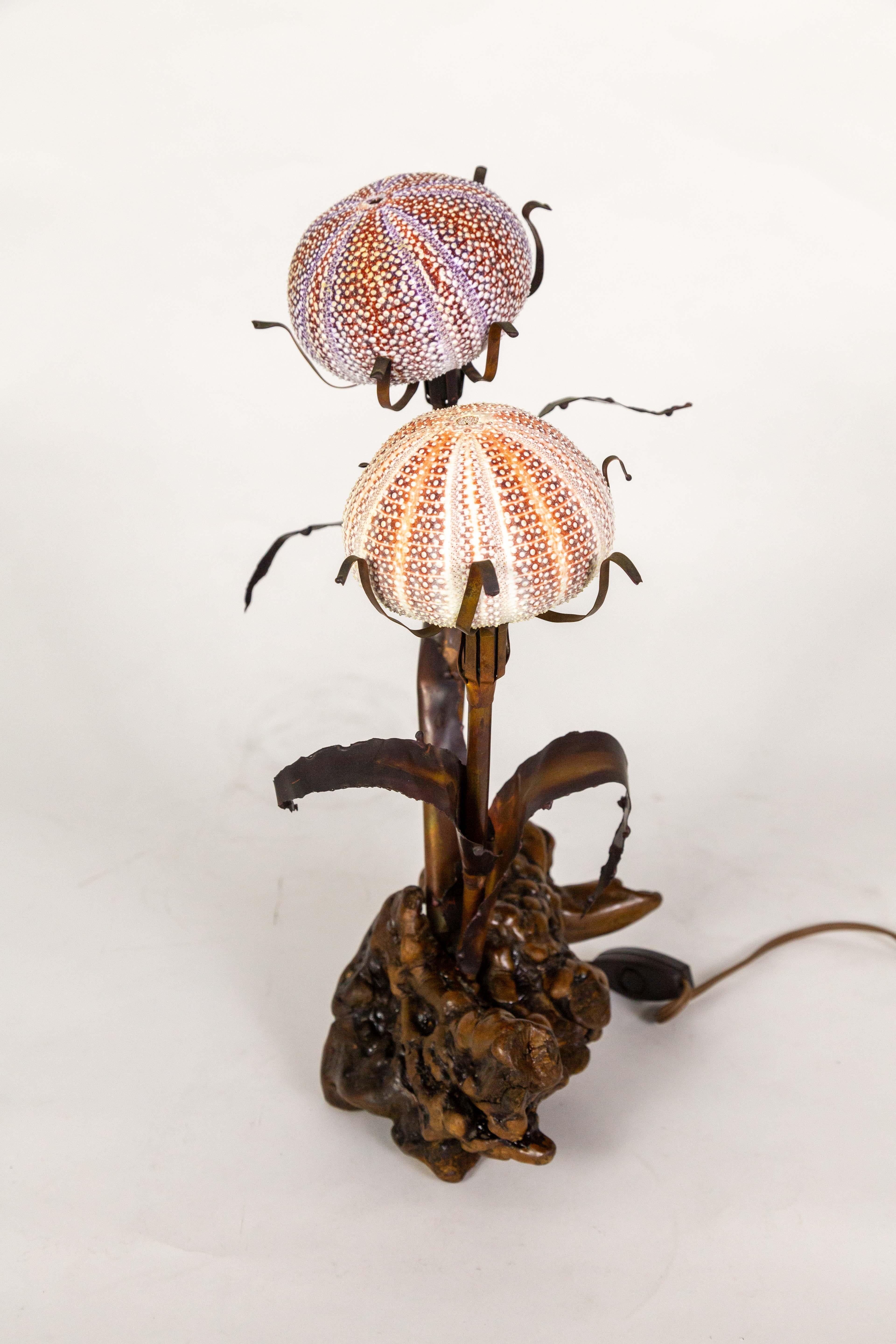 Copper Sea Urchin Shell & Burl Lamp by Curtis Jere
