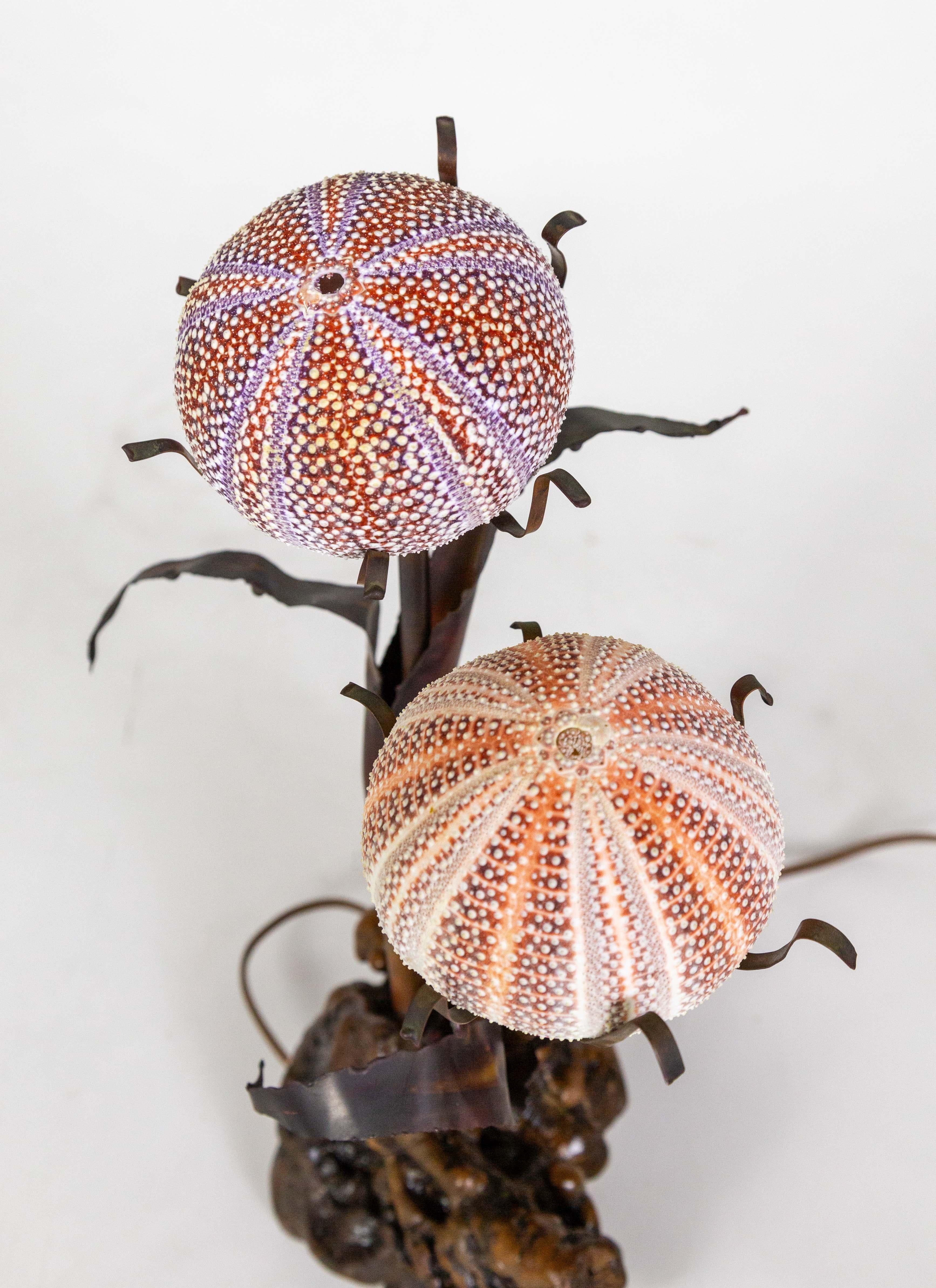 Sea Urchin Shell & Burl Lamp by Curtis Jere 4