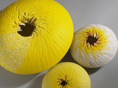 Sea Urchins Porcelain 3 Pieces Installation Yellow Contemporary 21st Century