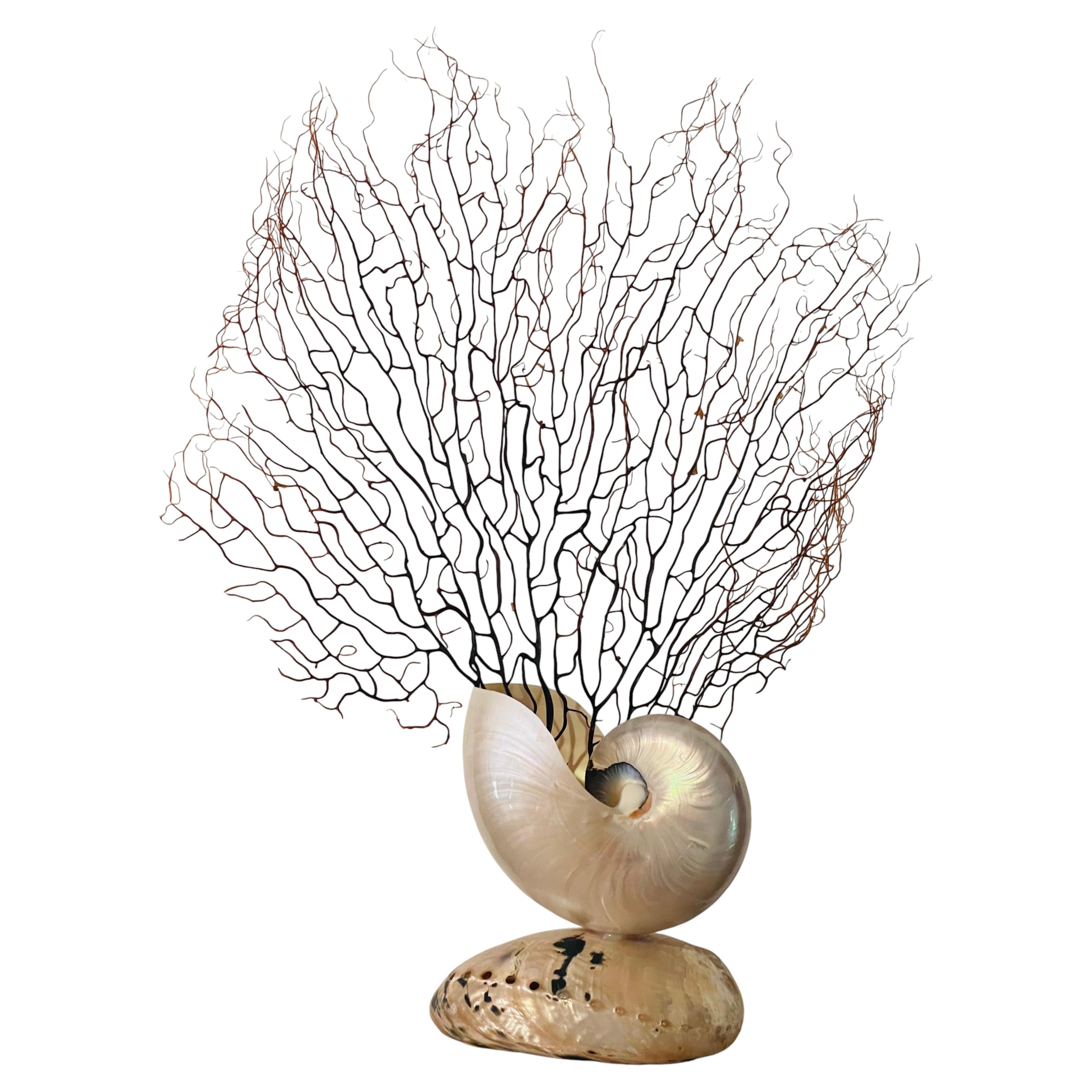 Sea Whip Branch on Nautilus Sea Shell Stand For Sale