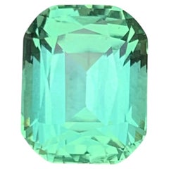 Greene & Greene Greene Tourmaline Naturelle 3.82 Carat Cushion Cut Gemstone pour bague