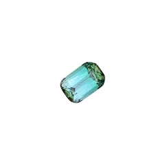 Seafoam Green Tourmaline Cushion Cut Natural Loose Gemstone for Fine Jewellery
