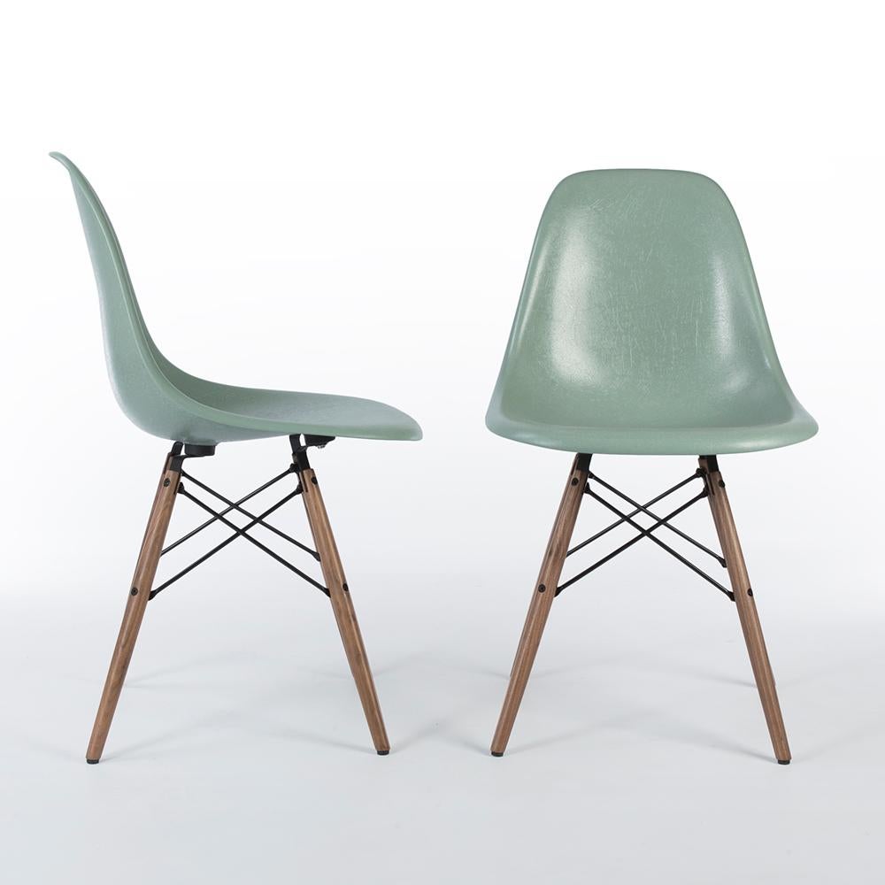 This is a pair of new, used, Eames seafoam Vitra DSW dining side shell chairs finished in fiberglass and sat on lovely newer, used, natural walnut dowel bases. Stemming from how popular the colour is, this is one of nine colours Vitra have used to