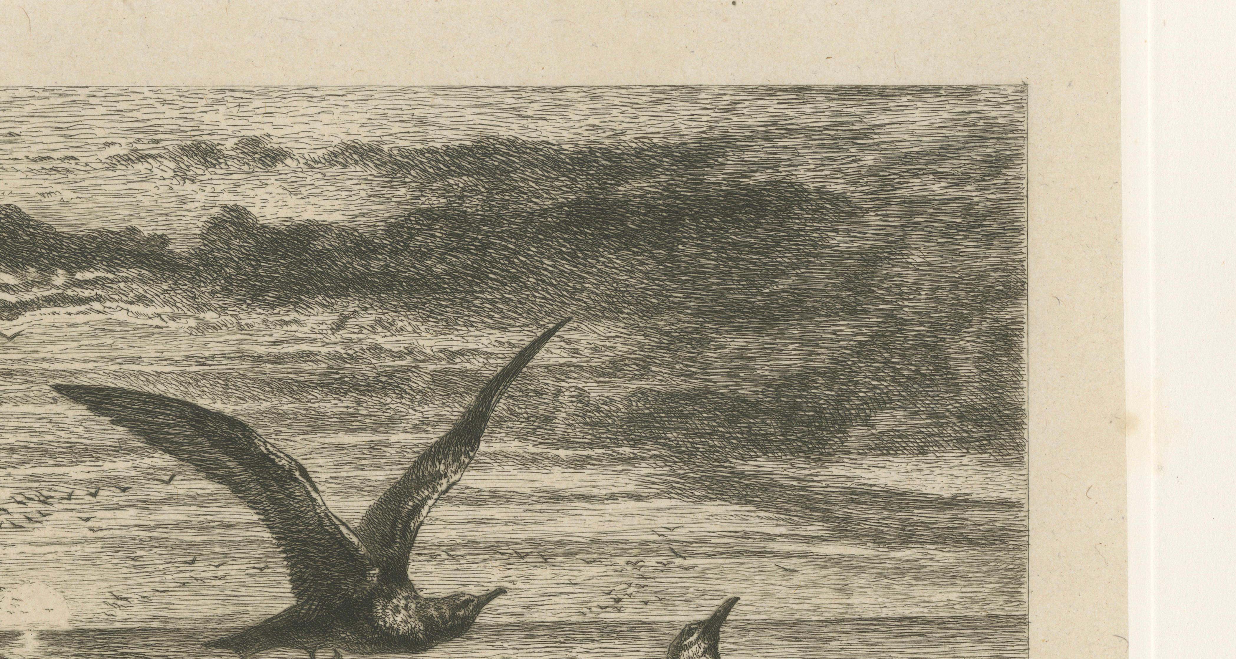 Seagulls at Sunset on Coastal Cliffs, Etching after R. Ansdell R.A., 1872