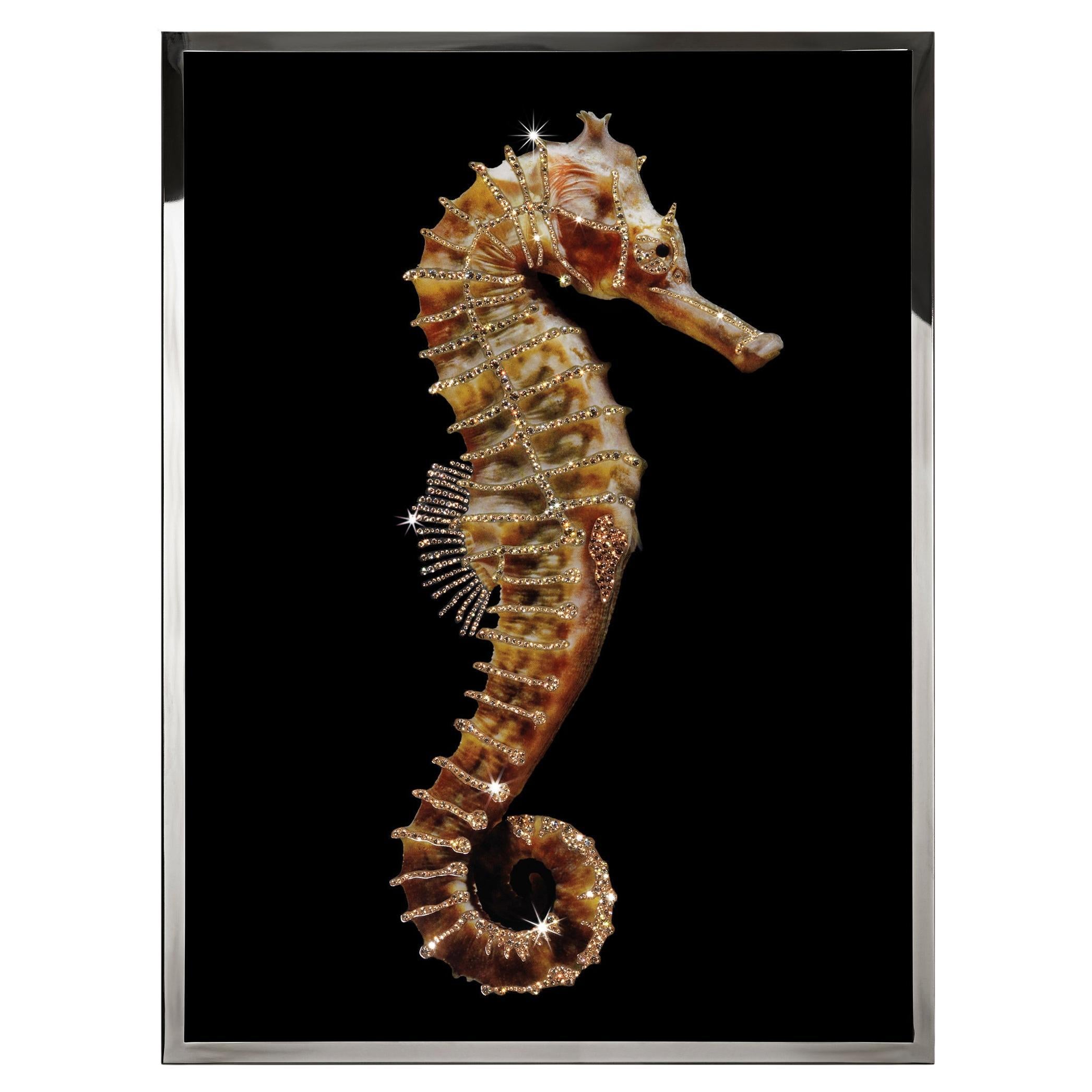 Decoración de pared con cristales de caballito de mar en venta