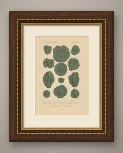 Seals of the Guilds of Bruges, 1356, Antique Chromolithograph, 1851