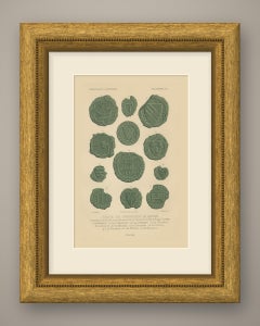 Seals of the Guilds of Bruges, Bakers and Coopers, Antique Print, 1851