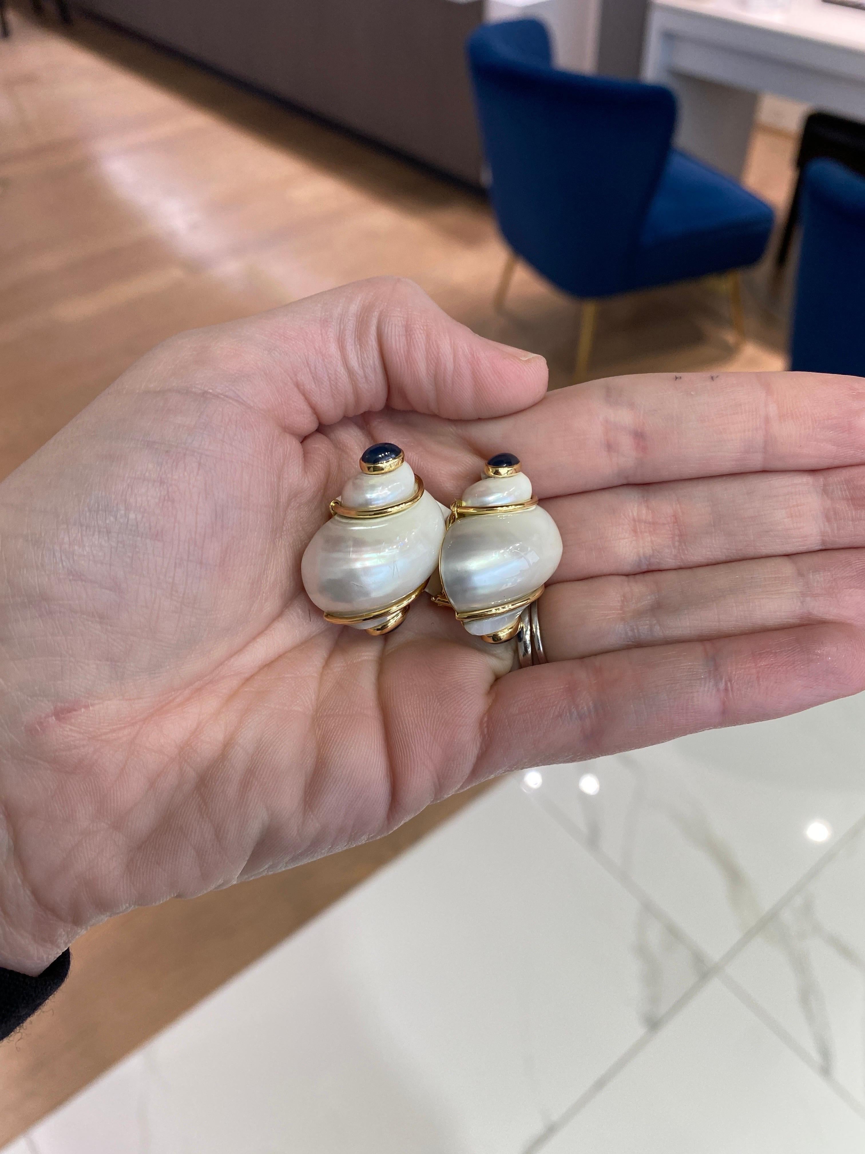 Seaman Schepps Turbo Muschel- und Saphir-Ohrringe aus Gold im Zustand „Hervorragend“ im Angebot in Houston, TX