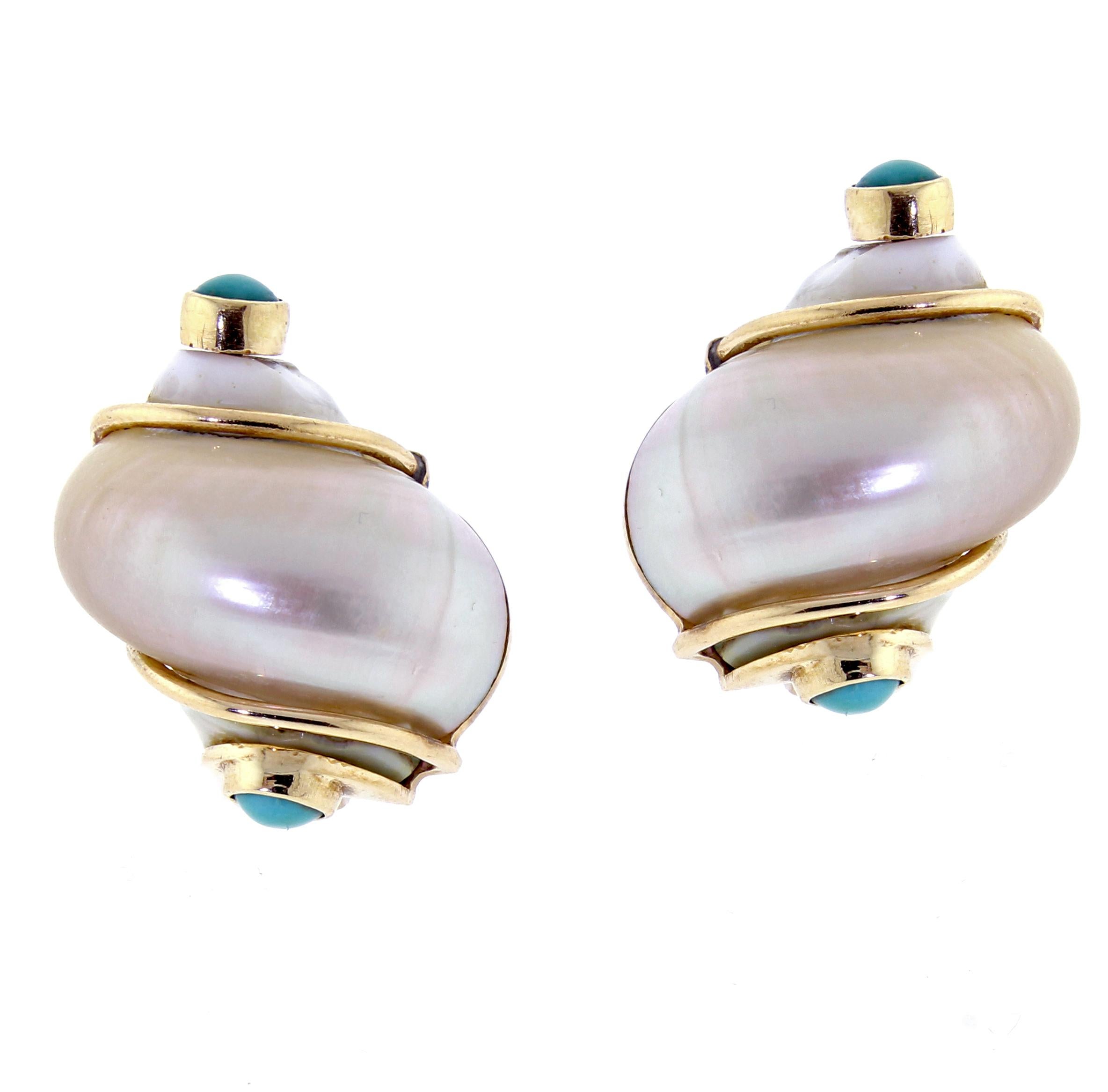 Seaman Schepps Turbo Shell and Turquoise Gold Earrings