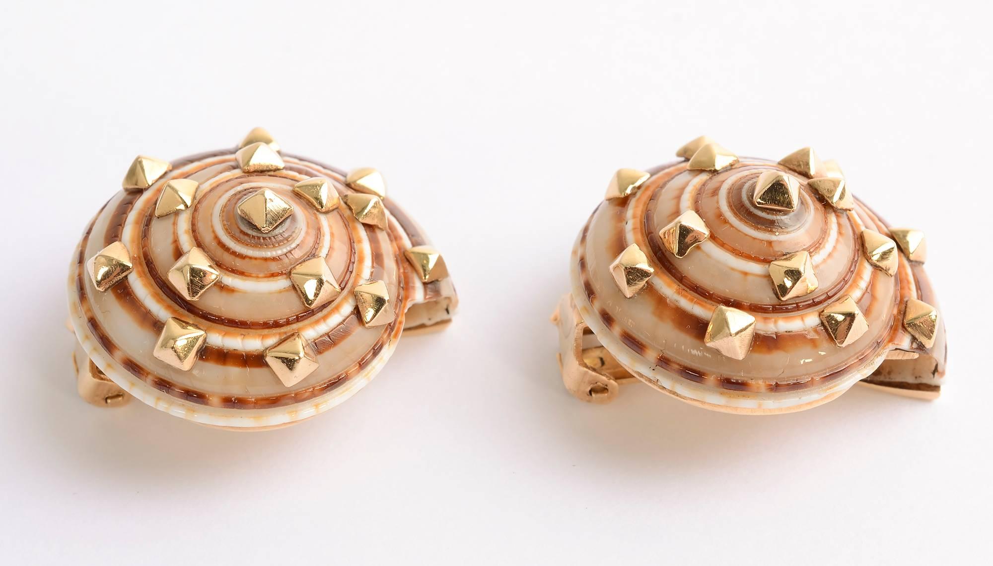 Beautiful shell earrings by PSV of Seaman Schepps. In the 1960's, the founder retired and his daughter, Patricia took over until she sold the company in 1992.  PSV are her initials. 
These wonderfully colored shells are studded with raised gold