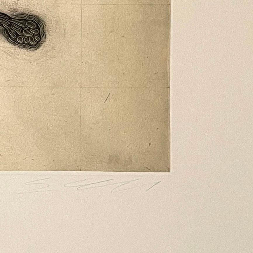 Mezzotint print. Edition of 18, signed, titled and numbered by the artist.

Caulfield has exhibited his prints, drawings, installations and artist’s books extensively throughout Canada, the United States, Europe, and Japan. He is currently a
