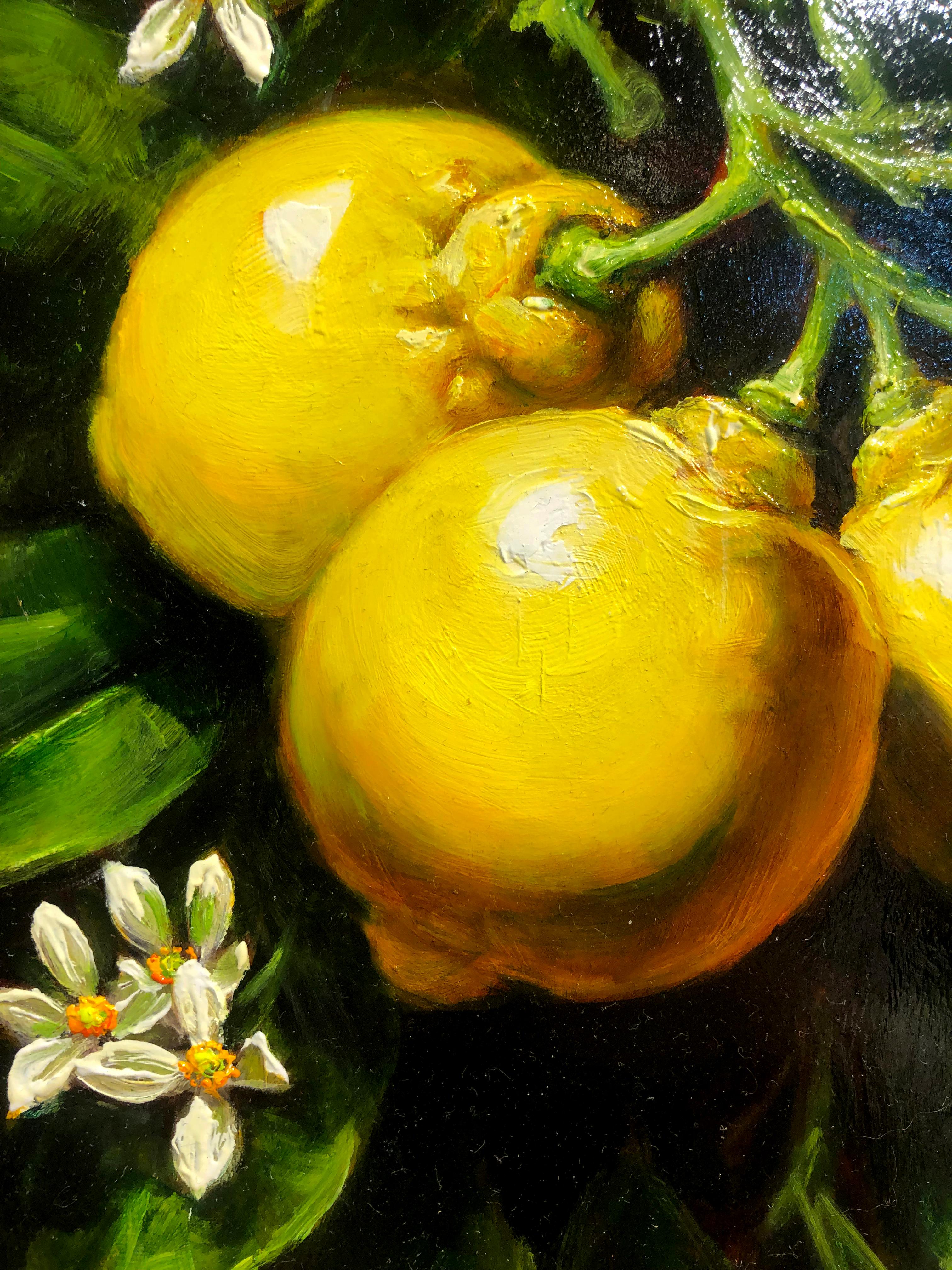 Sean Farrell, „Sweet Lemon Blossoms“, 12x9 Zitronen-Stillleben, Ölgemälde im Angebot 4