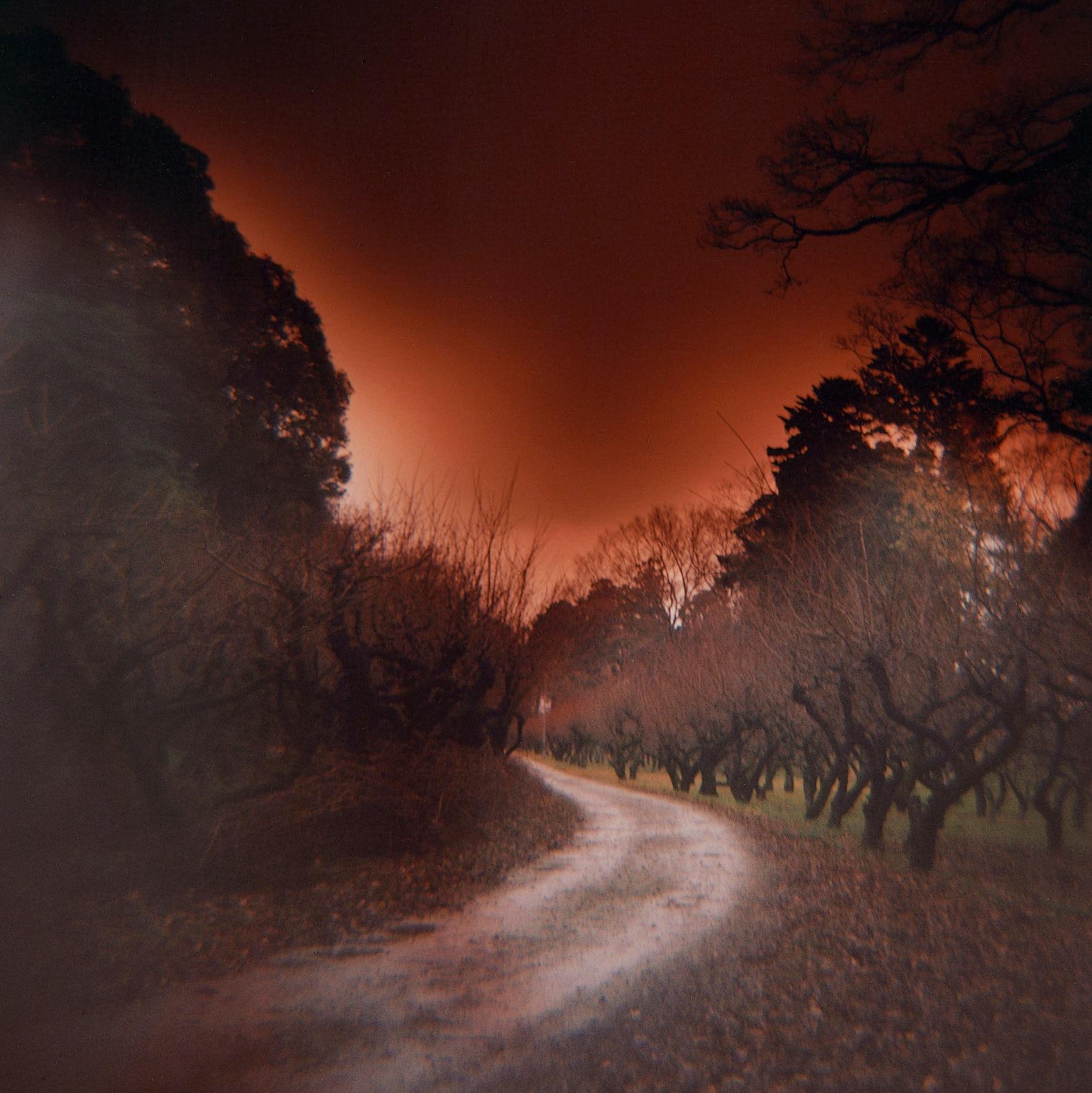 American Photograph by Sean Lotman, A Path Forward (Hikone, Japan), 2018