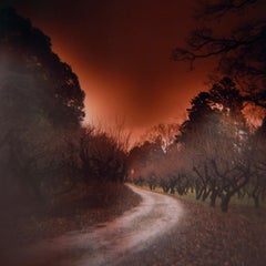 Amerikanische Fotografie von Sean Lotman, A Path Forward (Hikone, Japan), 2018
