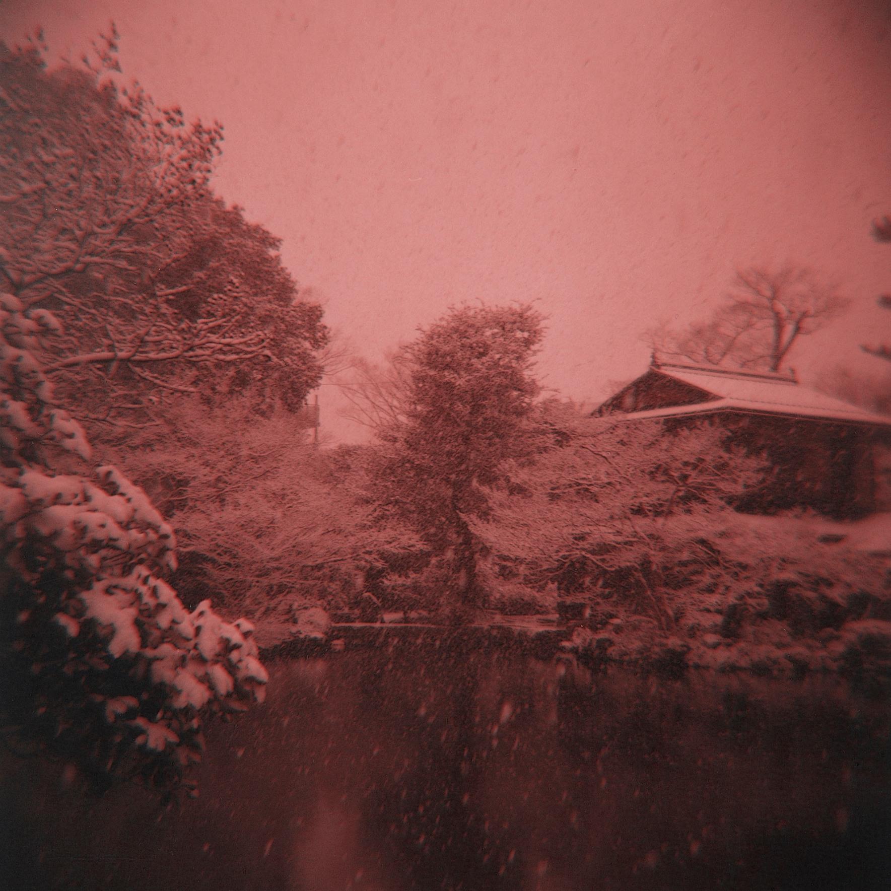 Photographie américaine de Sean Lotman, sans titre (Kyoto, Japon), 2010