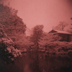Fotografia americana di Sean Lotman, Senza titolo (Kyoto, Giappone), 2010