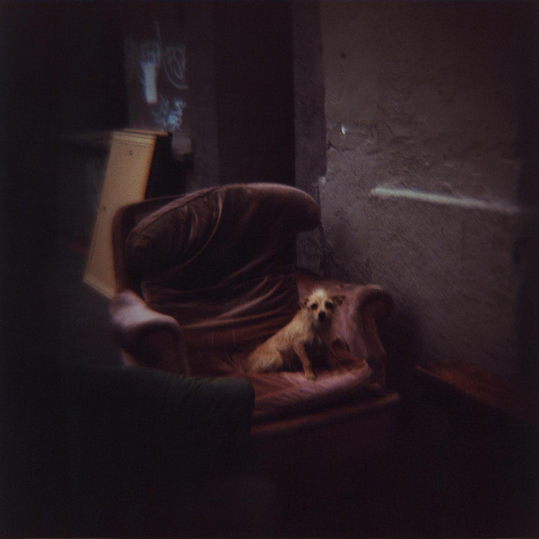 Fotografia americana di Sean Lotman, Senza titolo (Parigi, Francia), 2018