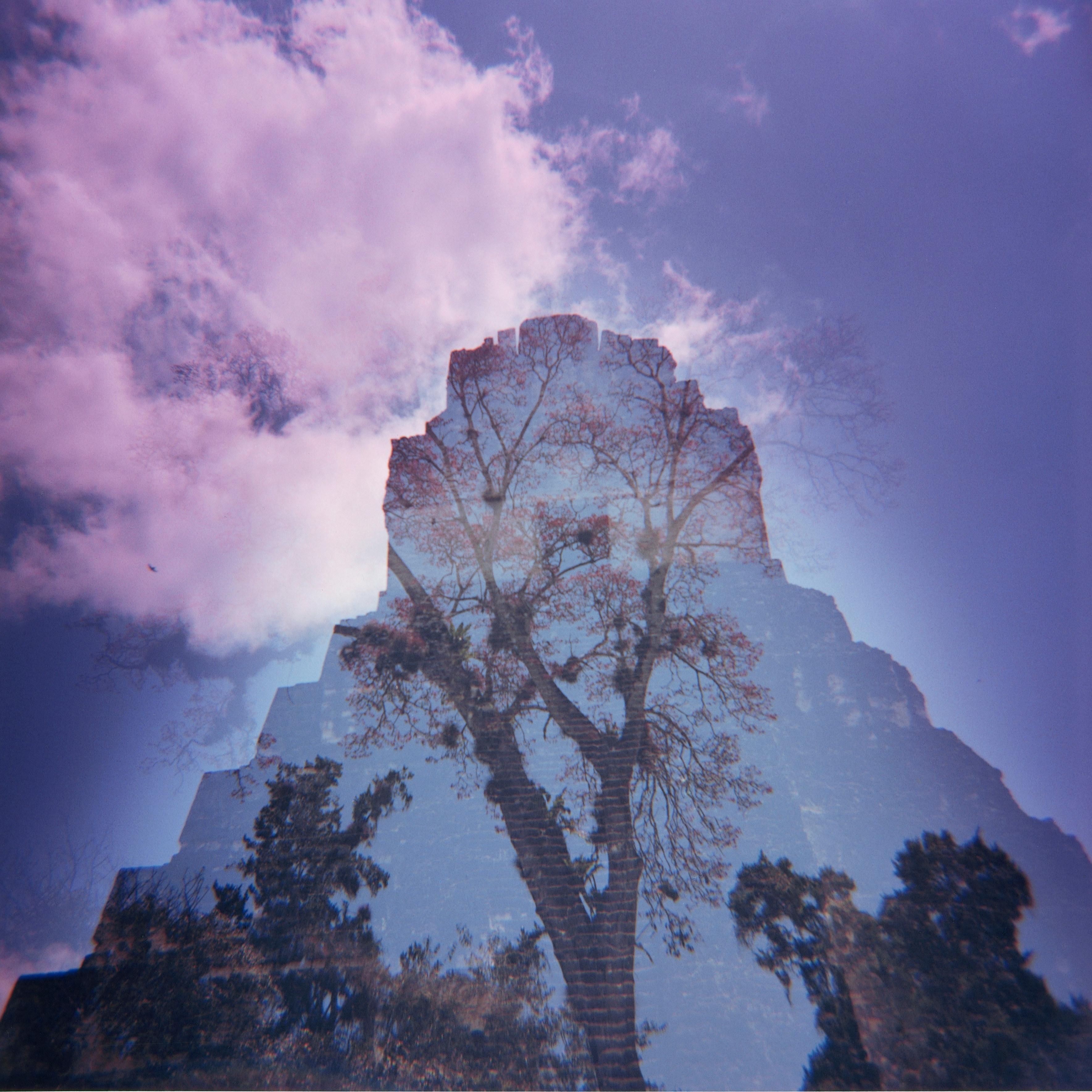 American Photograph by Sean Lotman, Untitled (Tikal, Guatemala), 2012