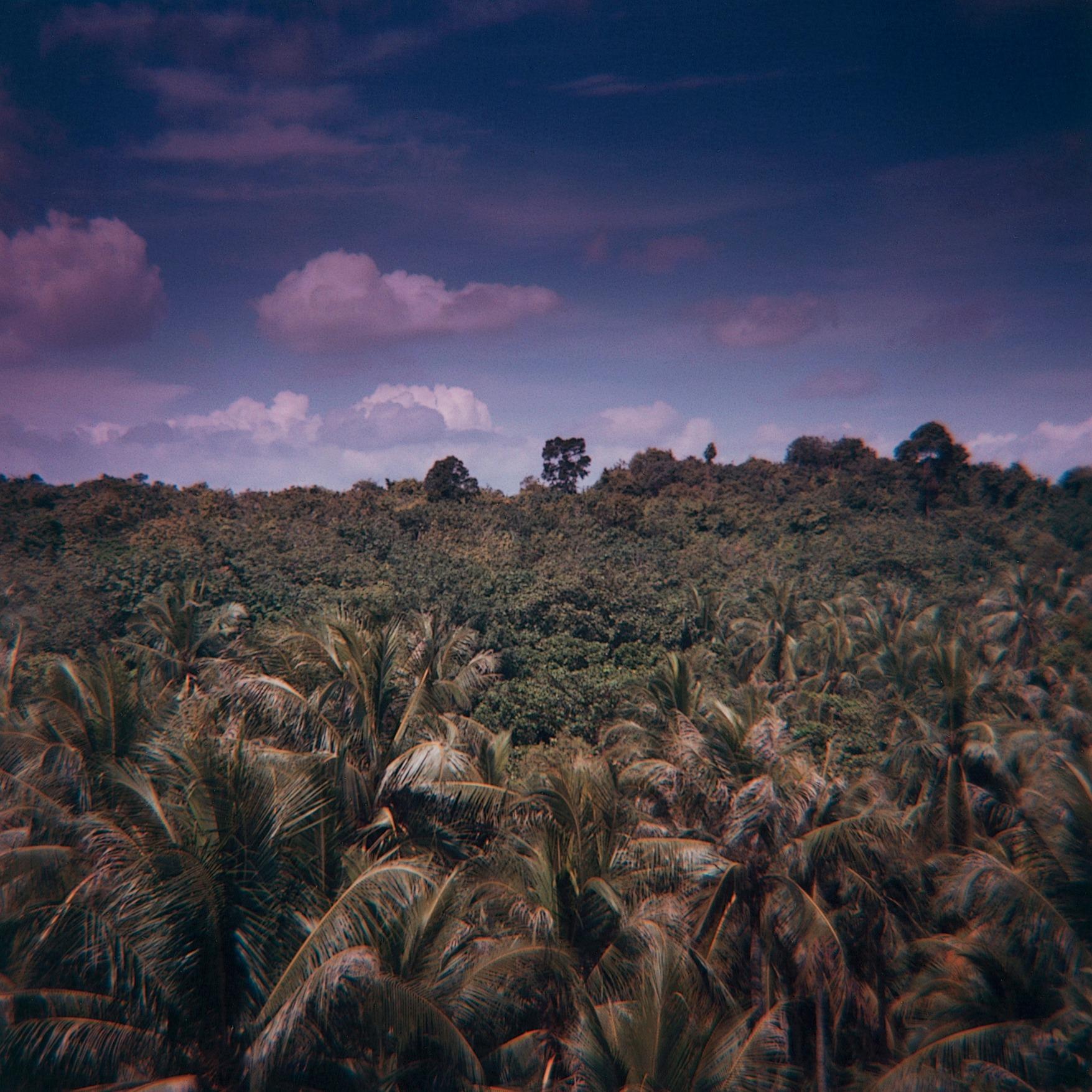 Fotografie von Sean Lotman, Somewhere Out There, a Leopard (Singapore), 2010