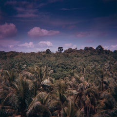 Photograph by Sean Lotman, Somewhere Out There, a Leopard (Singapore), 2010