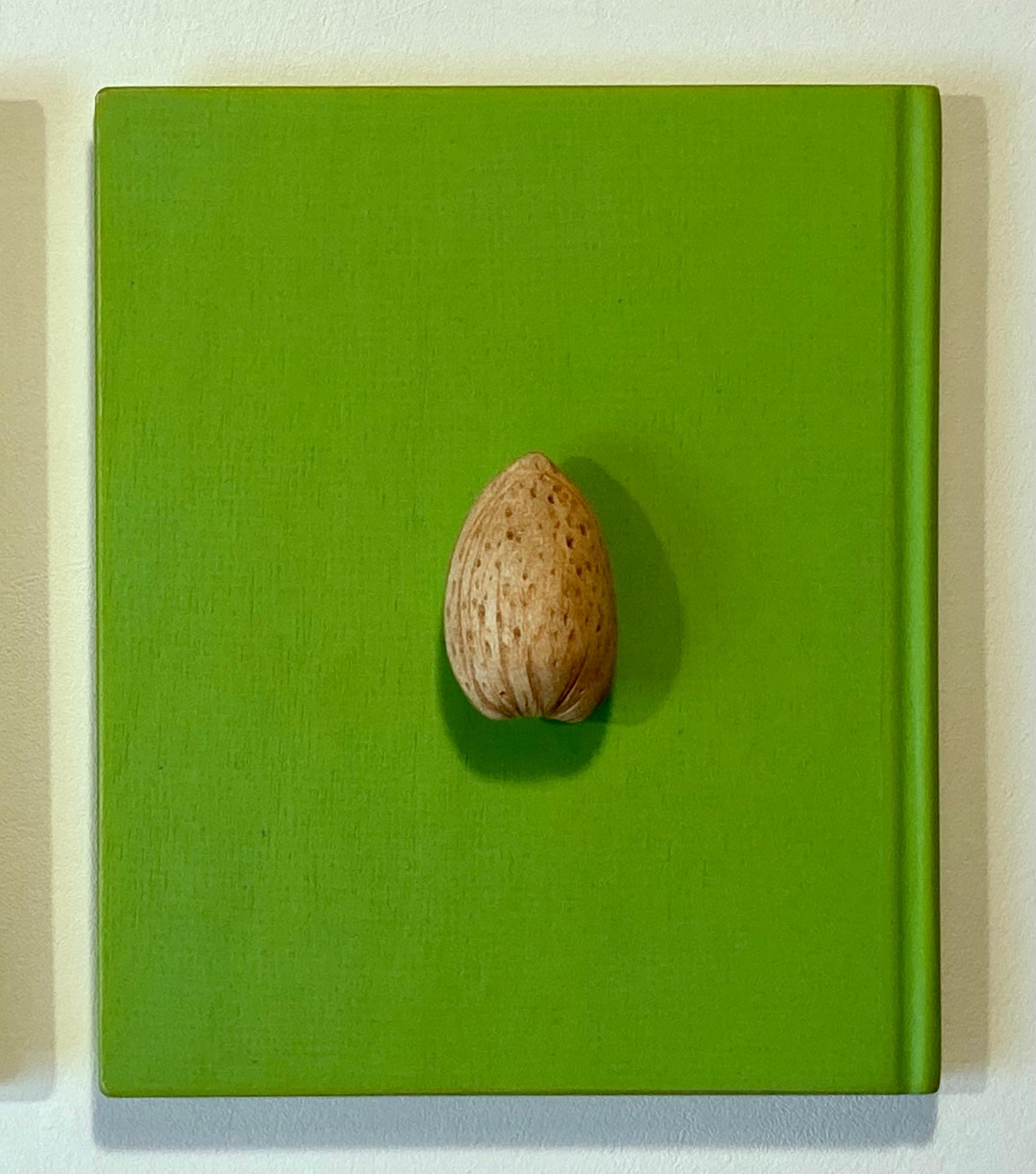 Sean O'Meallie Still-Life Sculpture - Almond (East)