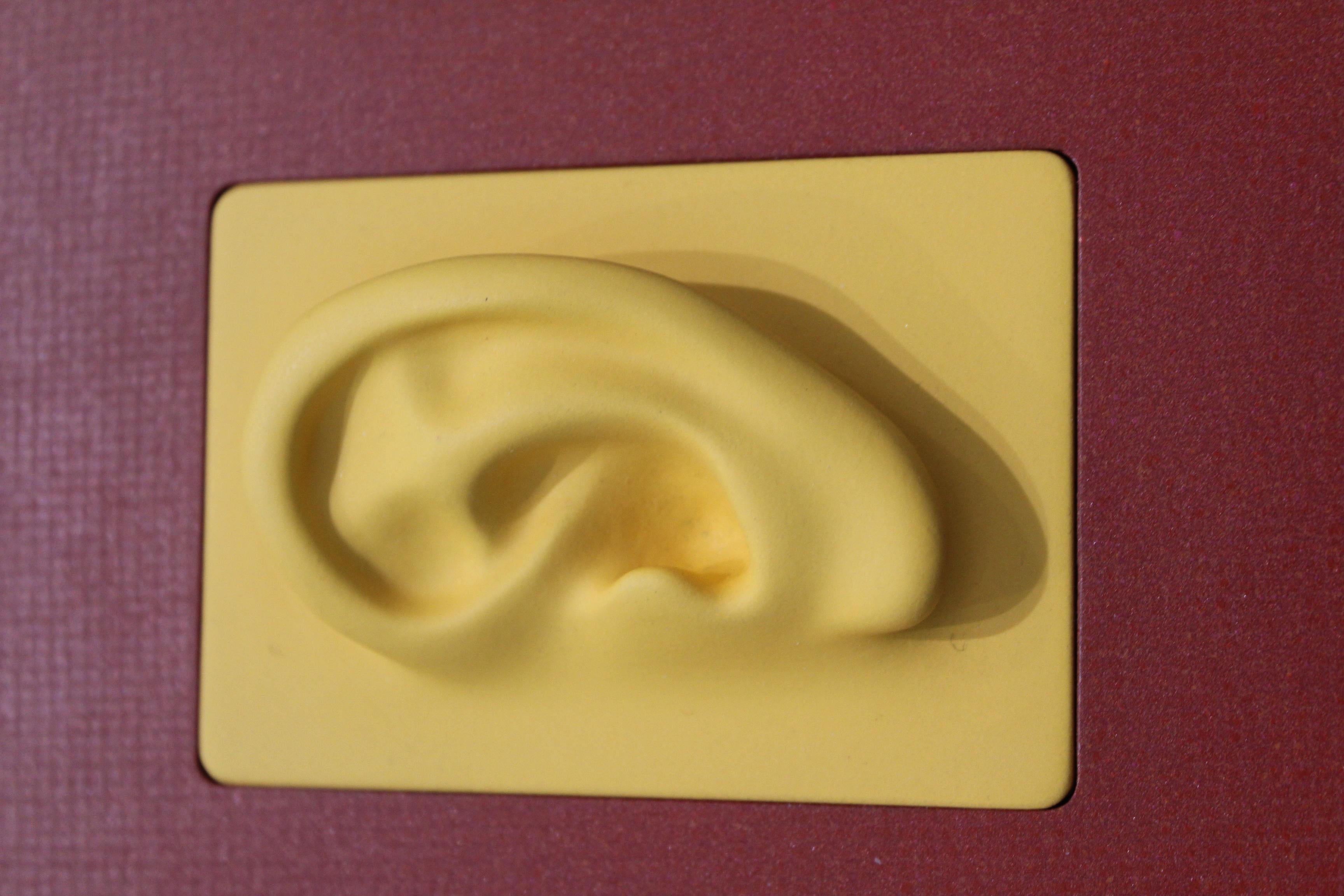 Ear - Sculpture by Sean O'Meallie