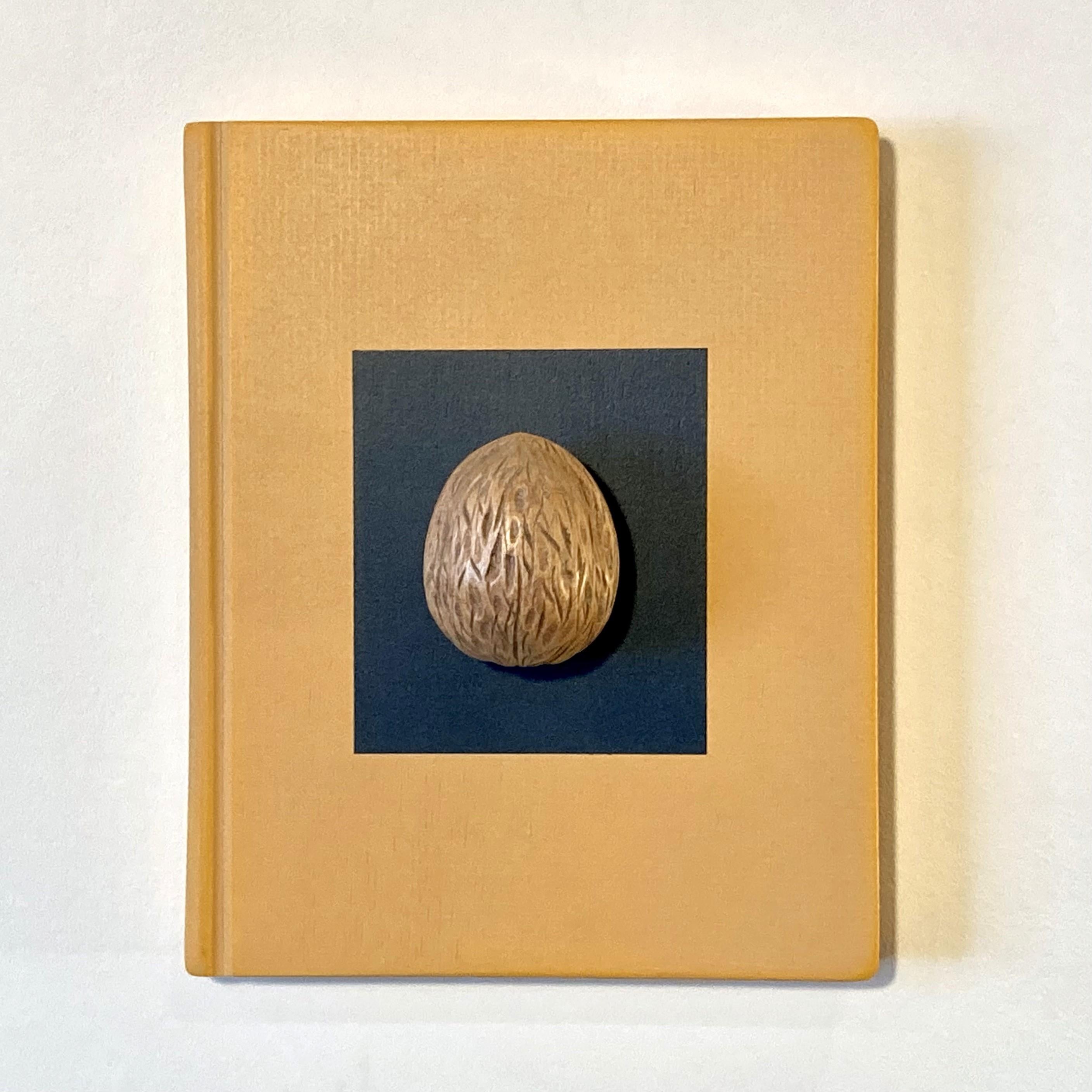 Sean O'Meallie Still-Life Sculpture - Walnut