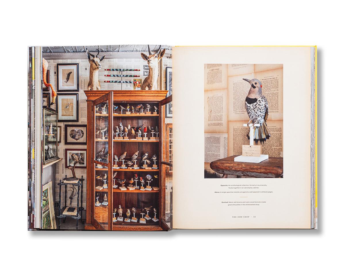 Sean Scherer’s Kabinett Kammer Creating Authentic Interiors Book by Sean Scherer For Sale 8