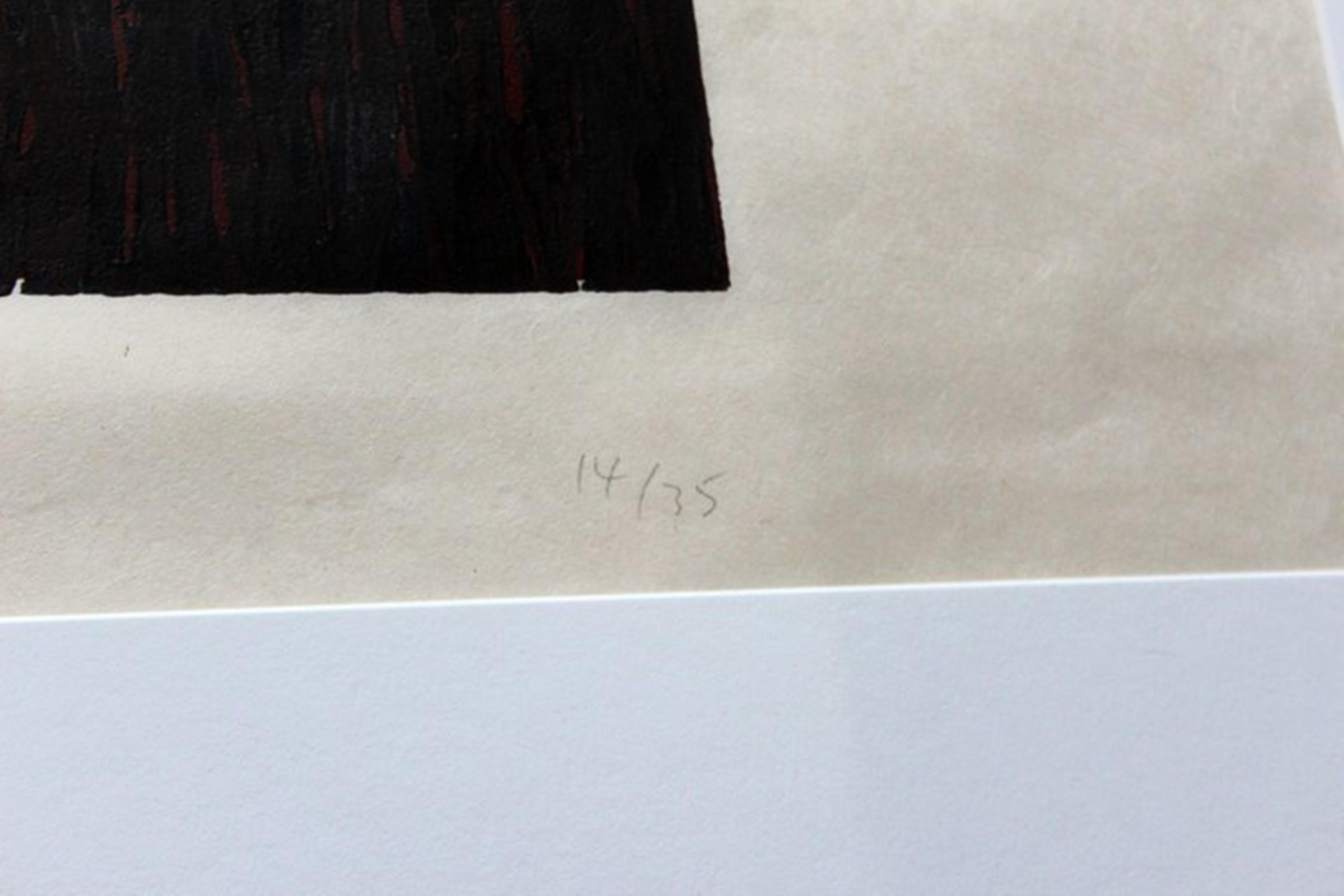 Sean Scully, Standing 2, colored woodcut on handmade paper, signed #14/35 Framed 2