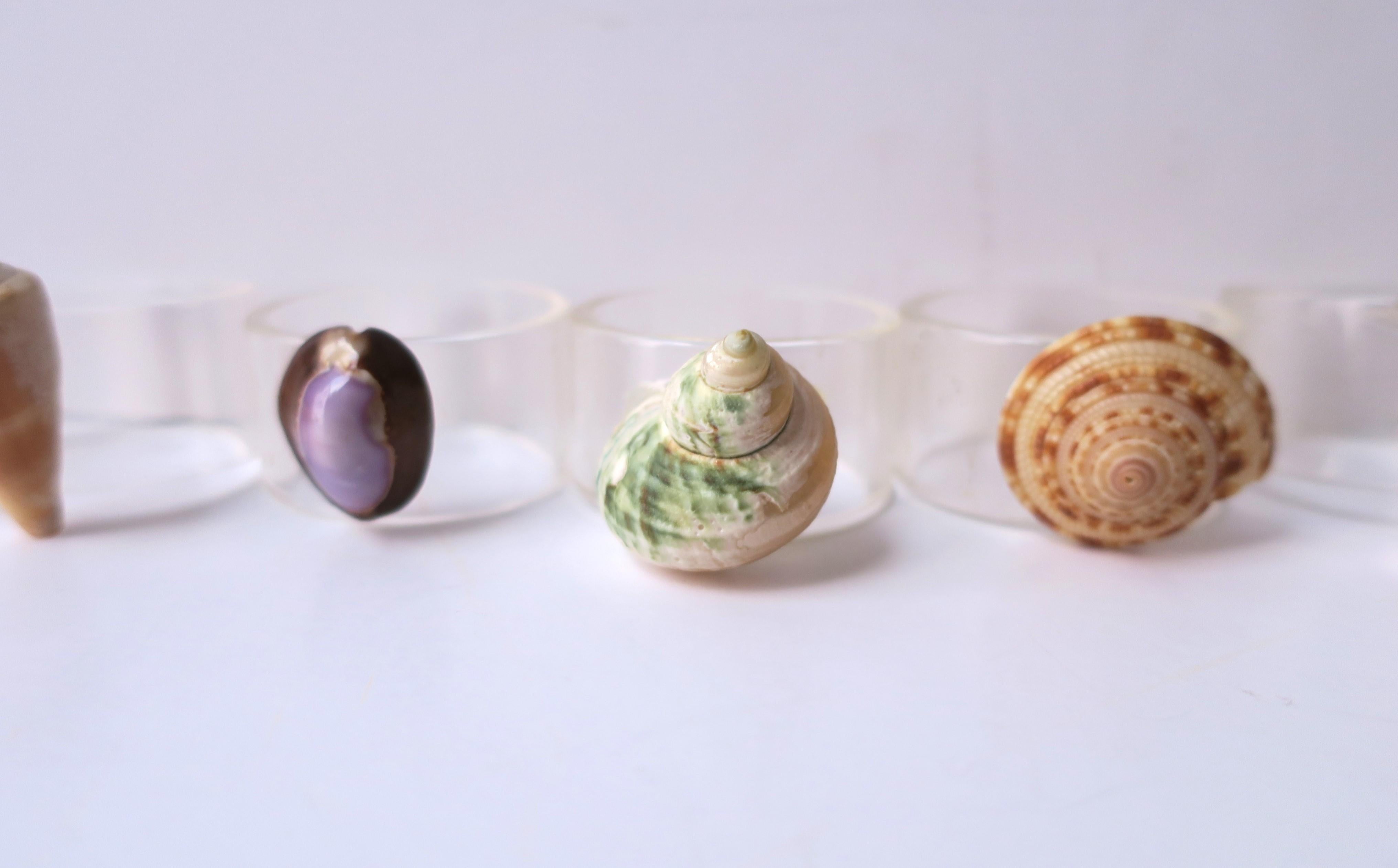 Seashell and Lucite Napkin Ring Holders, Set of 10 For Sale 8