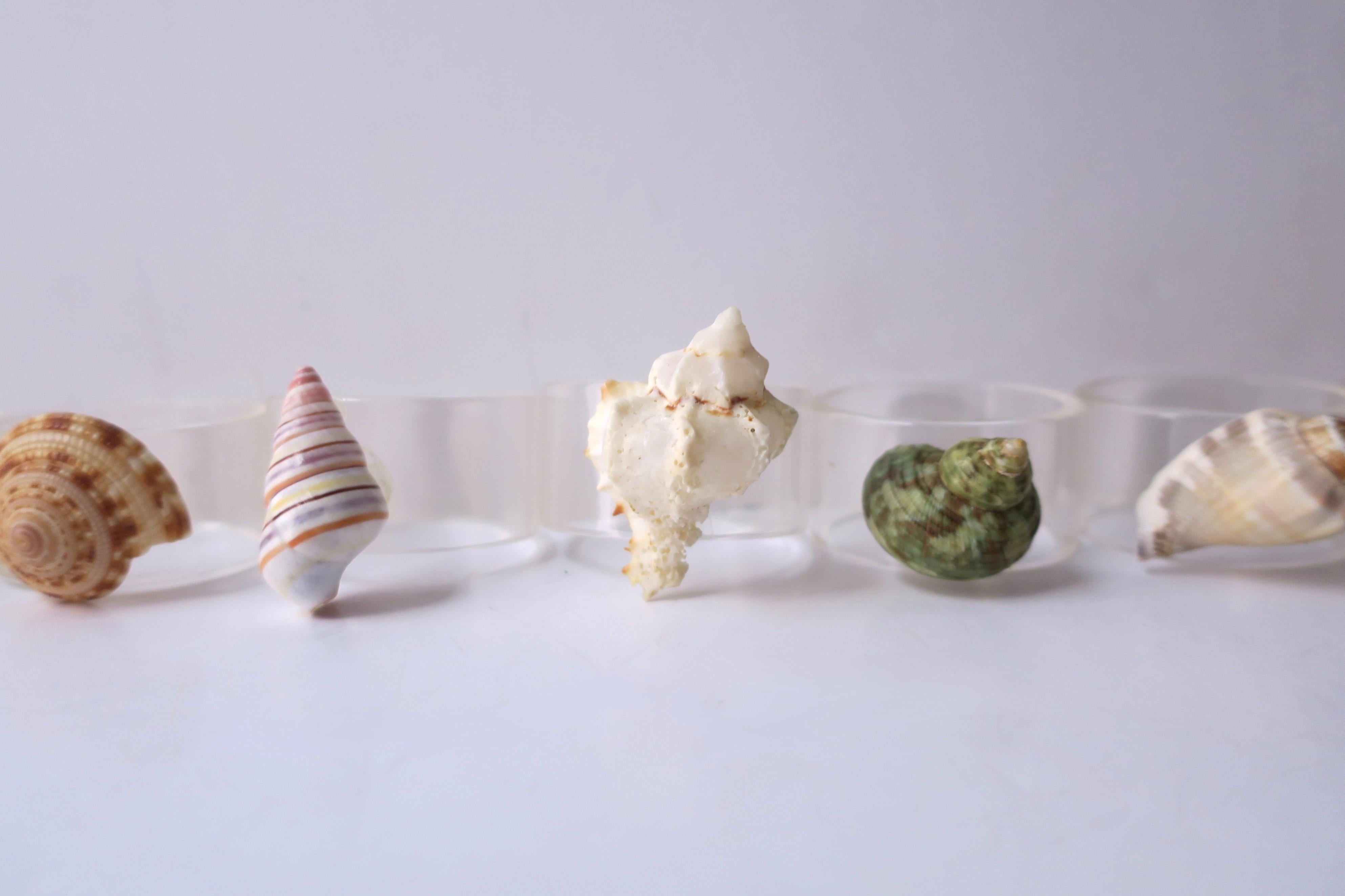 Seashell and Lucite Napkin Ring Holders, Set of 10 For Sale 10